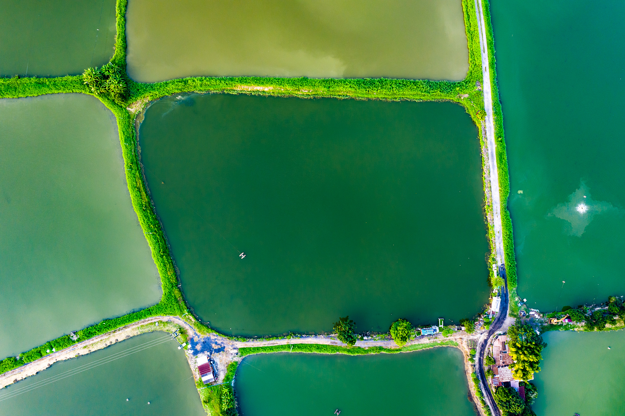 水产养殖场监控系统描述