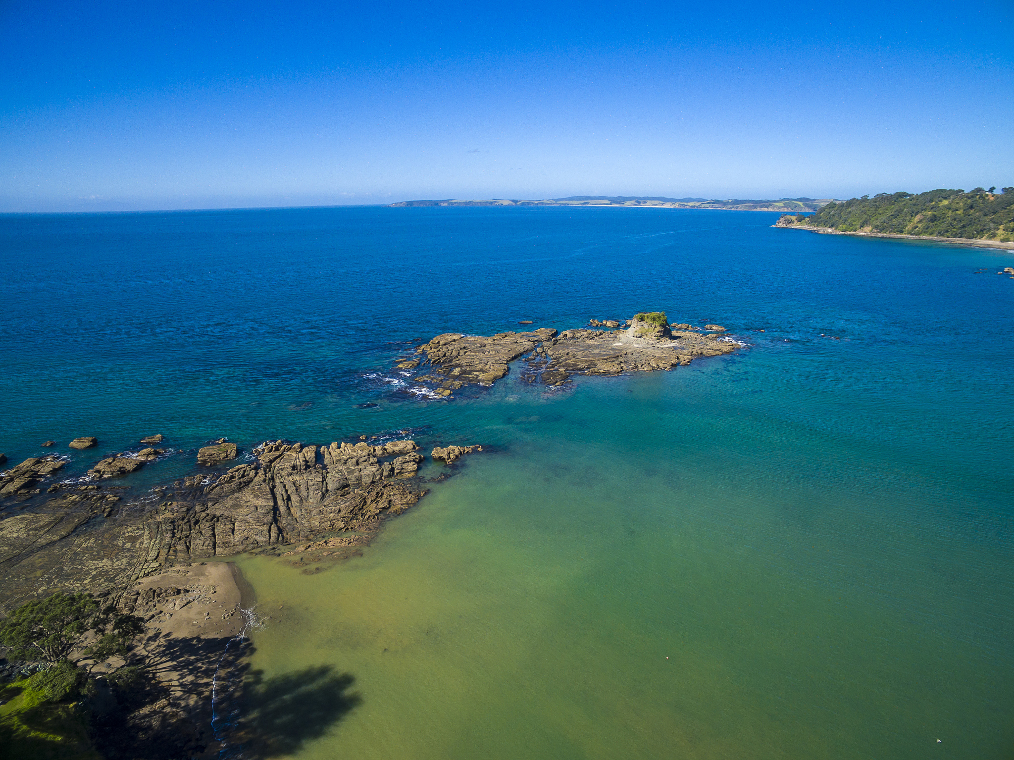goat island marine reserve