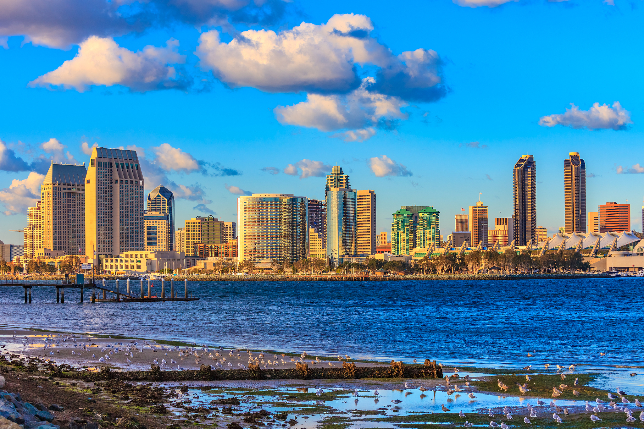 cityscape with skyscrapers of san diego skyline, california