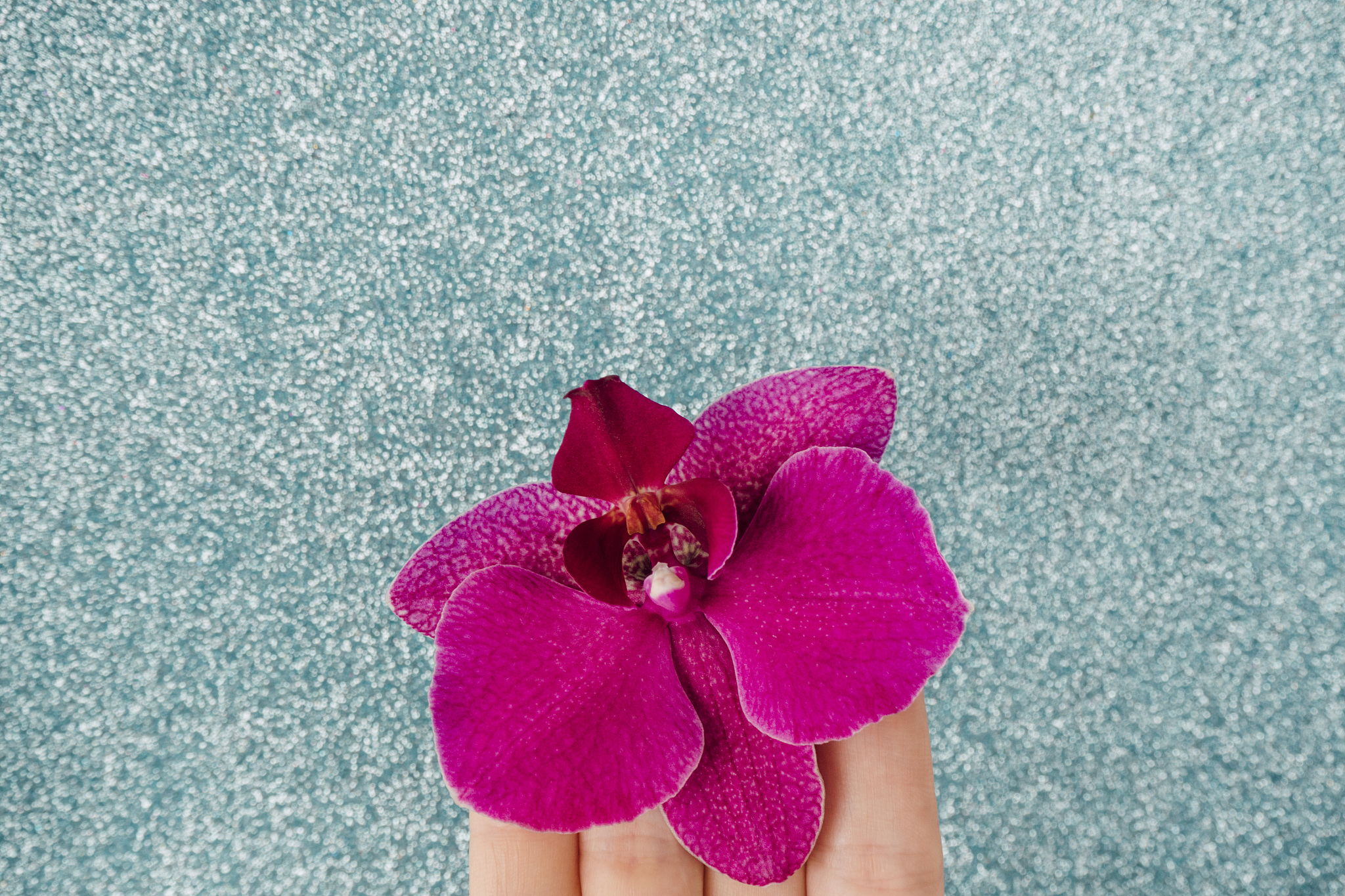 湖南省2022年的卫校初中生可以报考吗