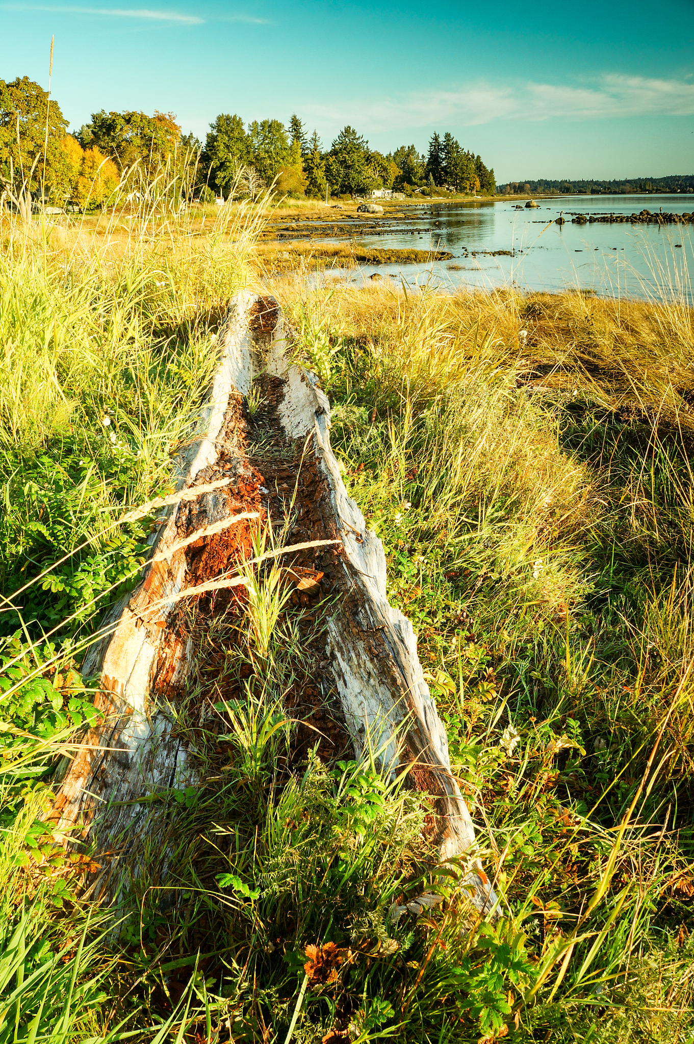 以在自然中发现美好——户外摄影心得为题写一篇1200字文章