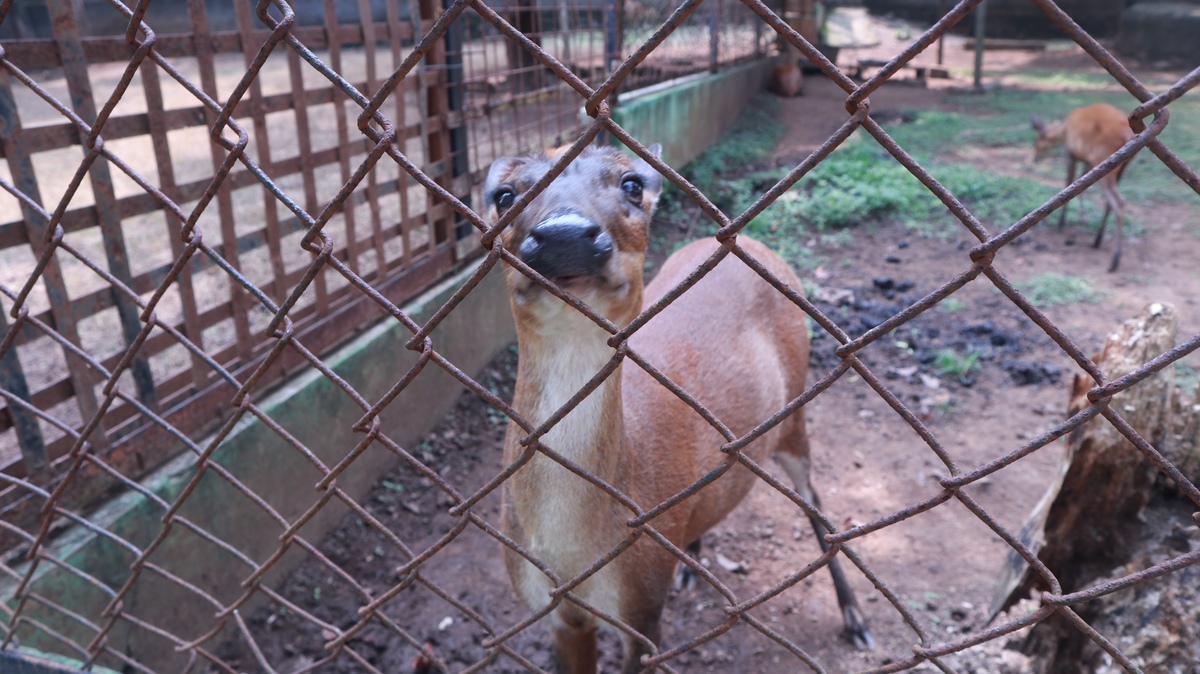 特种动物养殖专科专业怎么样？