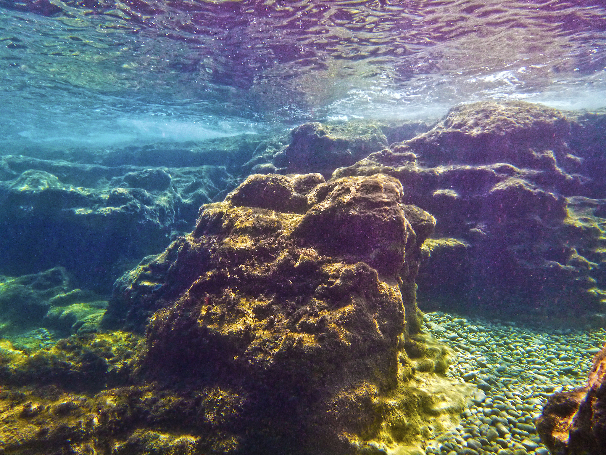 underwater world