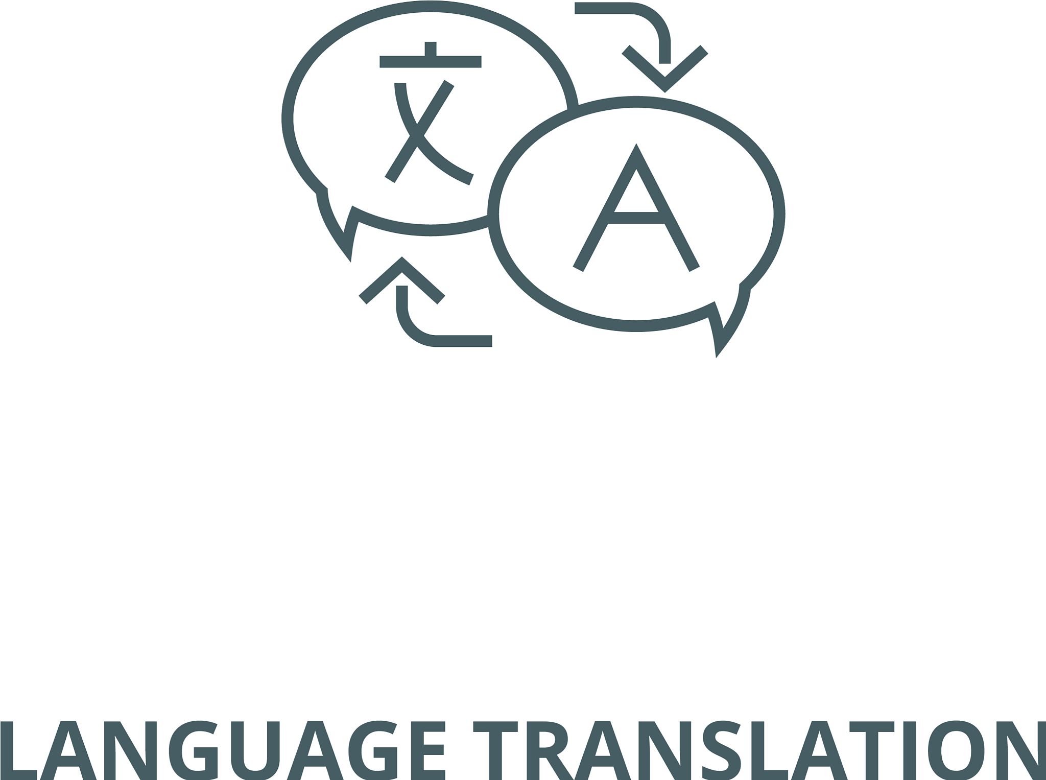 翻译：绚烂绽放，温馨呵护