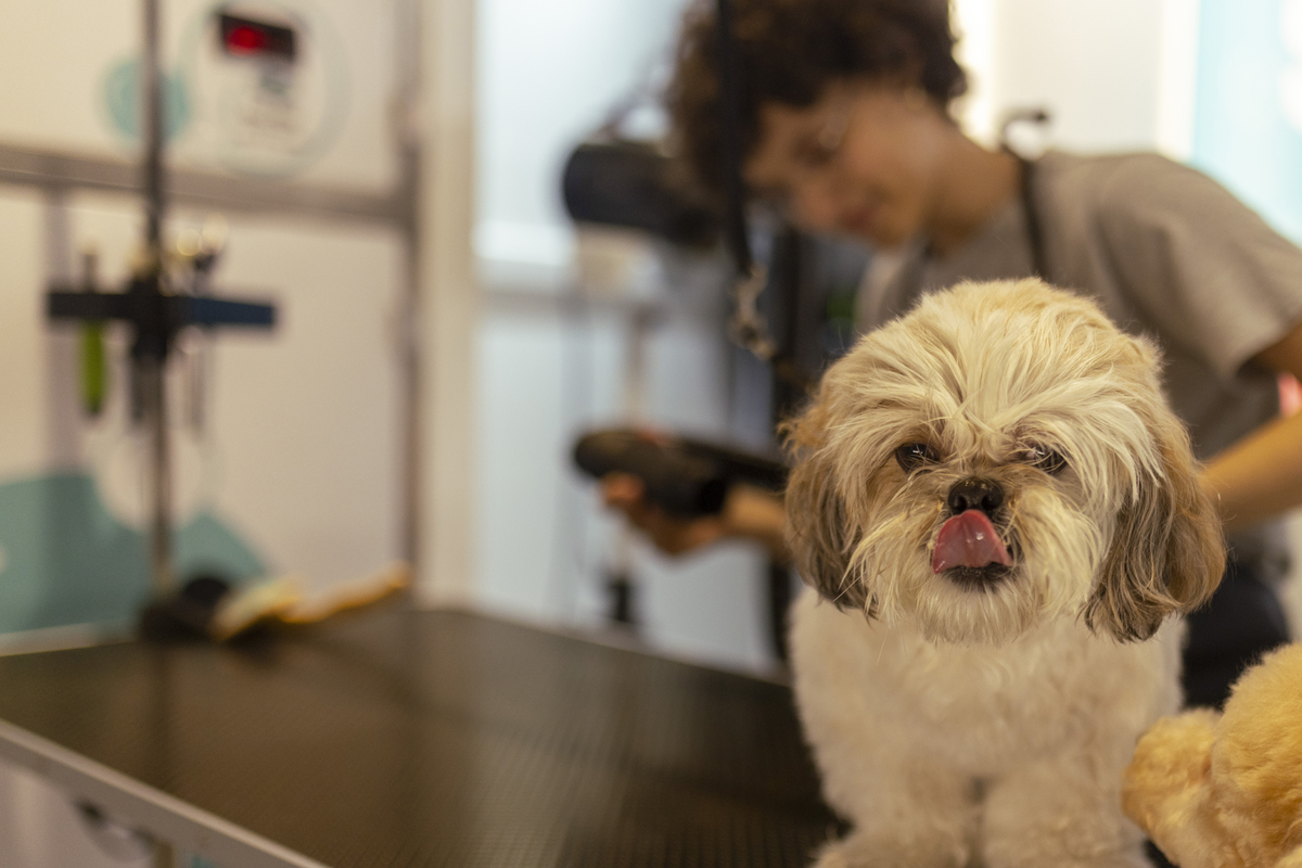 2020年重庆三峡职业学院宠物养护与训导专业招生