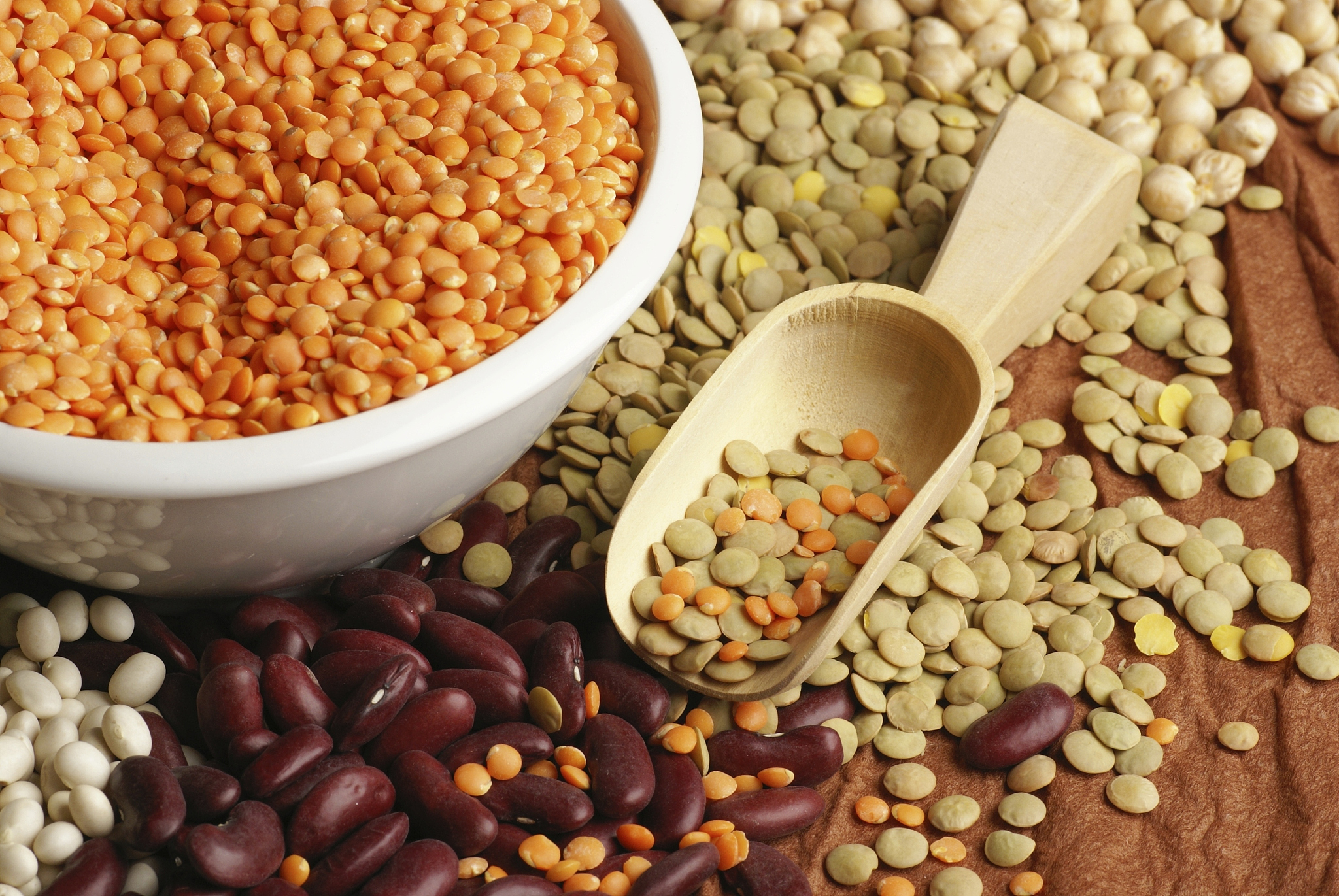 a variety of colorful seeds and beans with a bowl and scoop