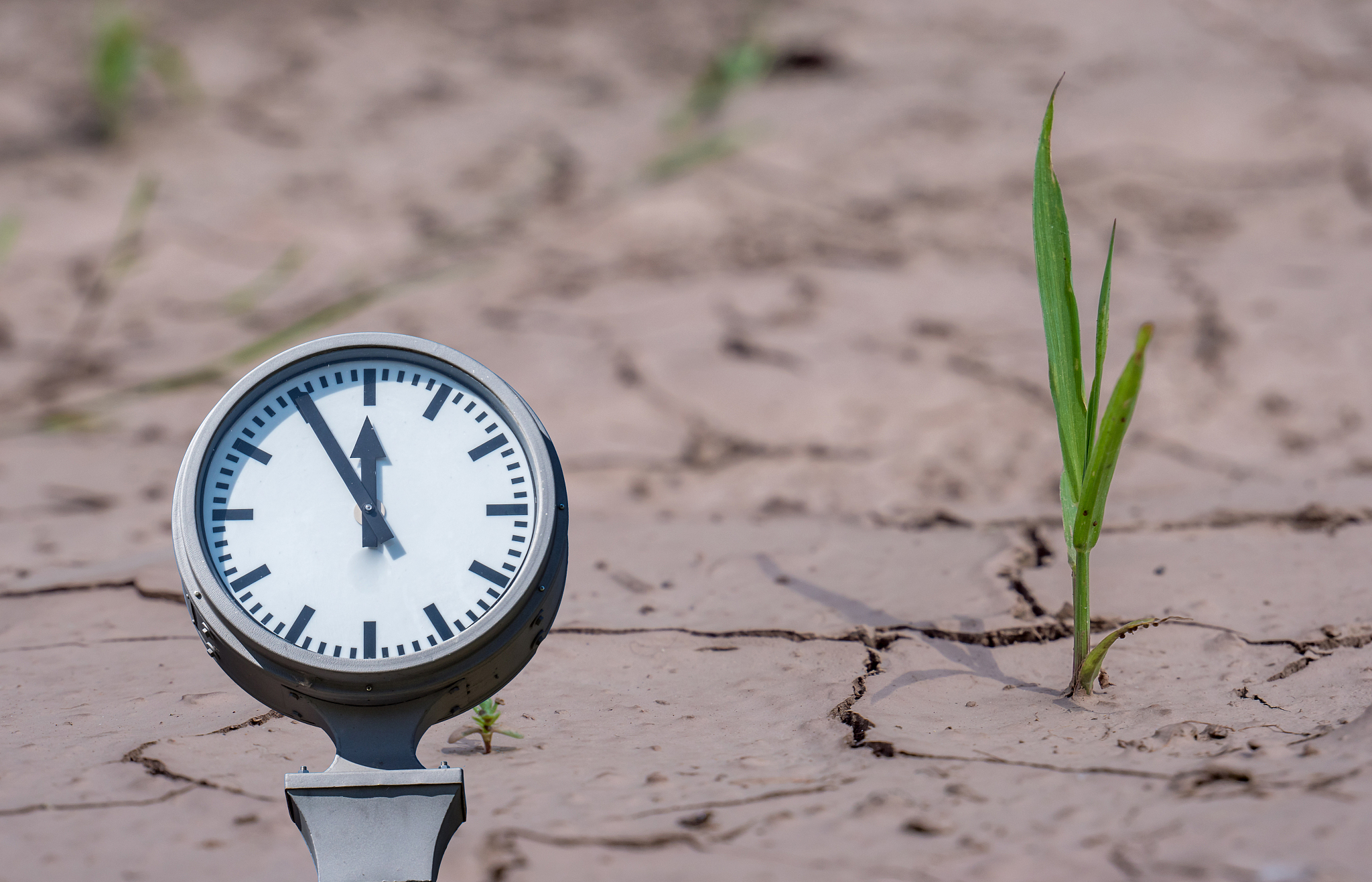 climate change dryness with clock