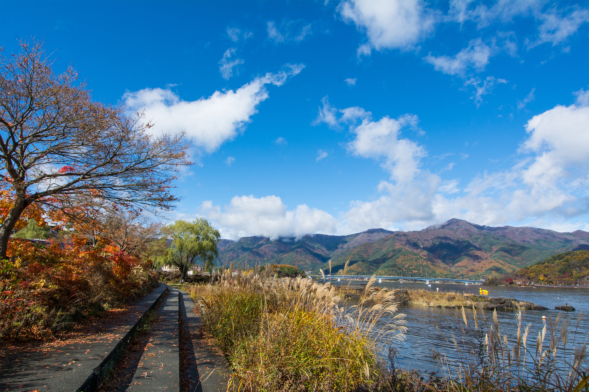 autumn way and blue sky