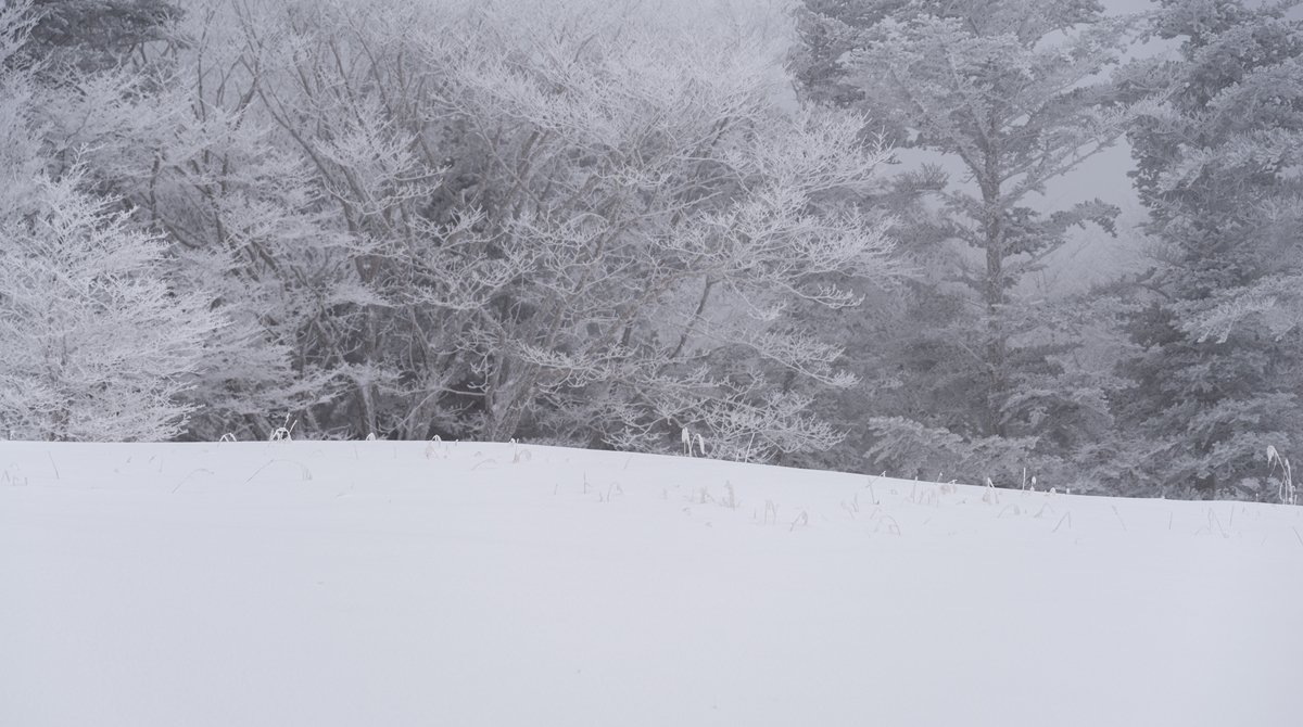雪下的大的话语悲景