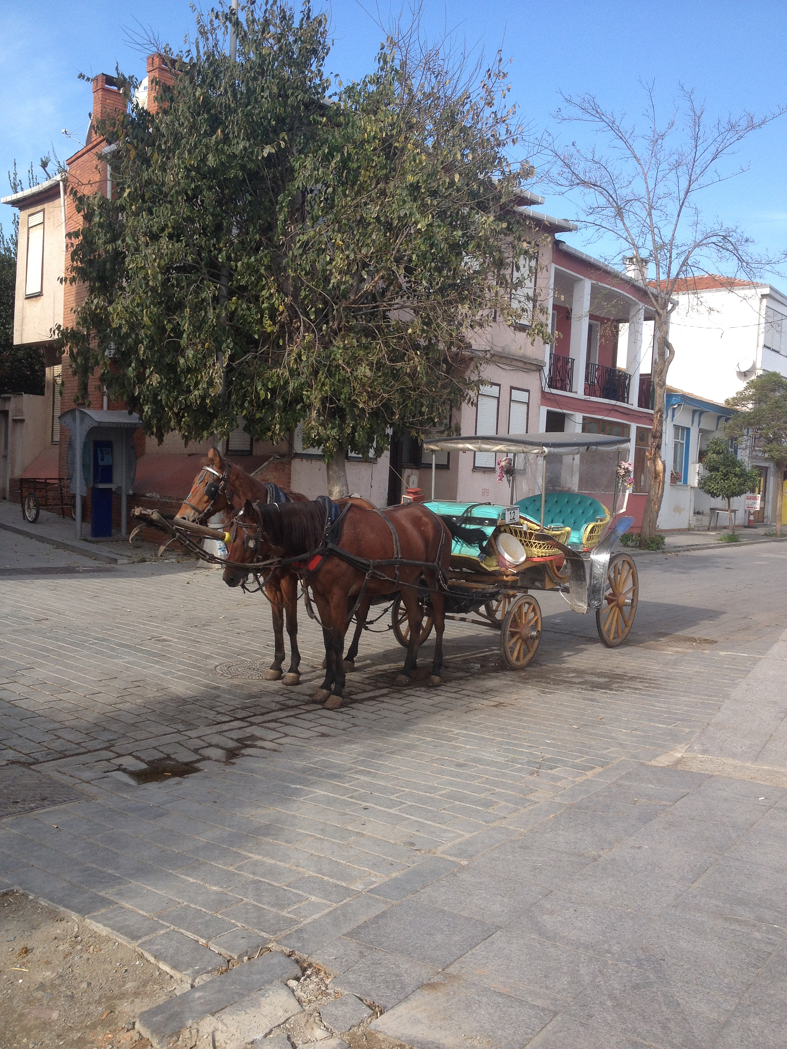 啤酒适量饮用有益健康，过量有害！如何掌握适饮量？