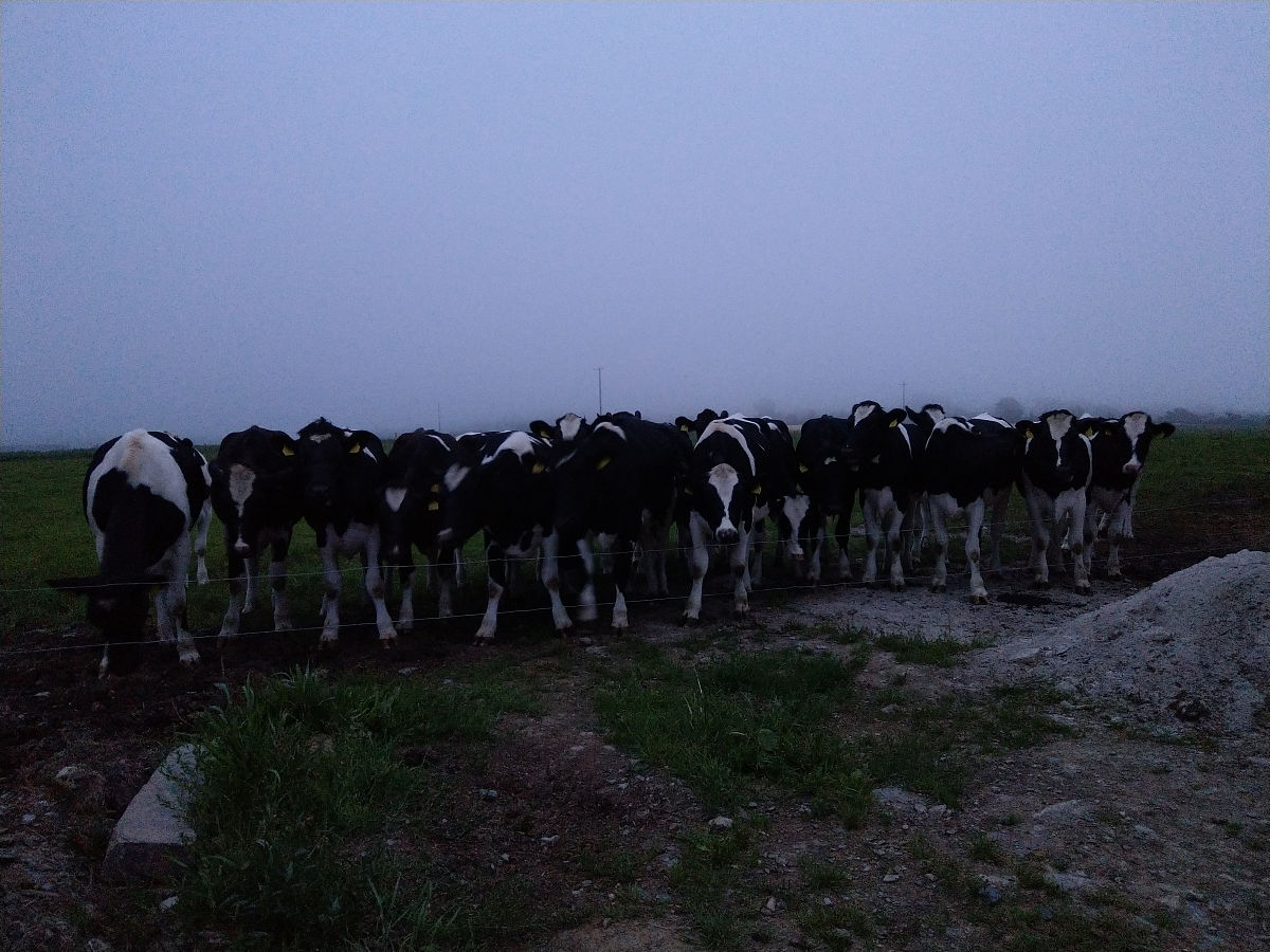 ULTRASONICS期刊: 超声学领域权威学术期刊 - Elsevier出版