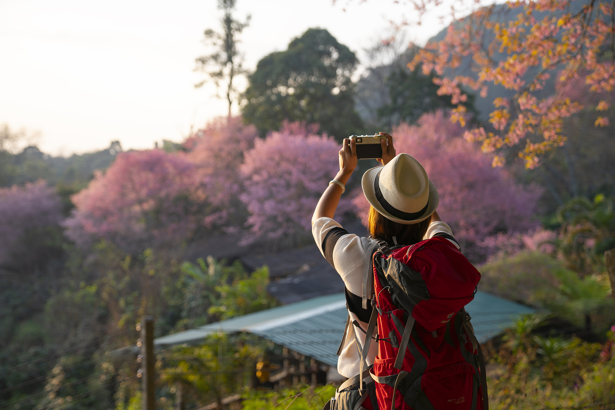 young japanese female photographer