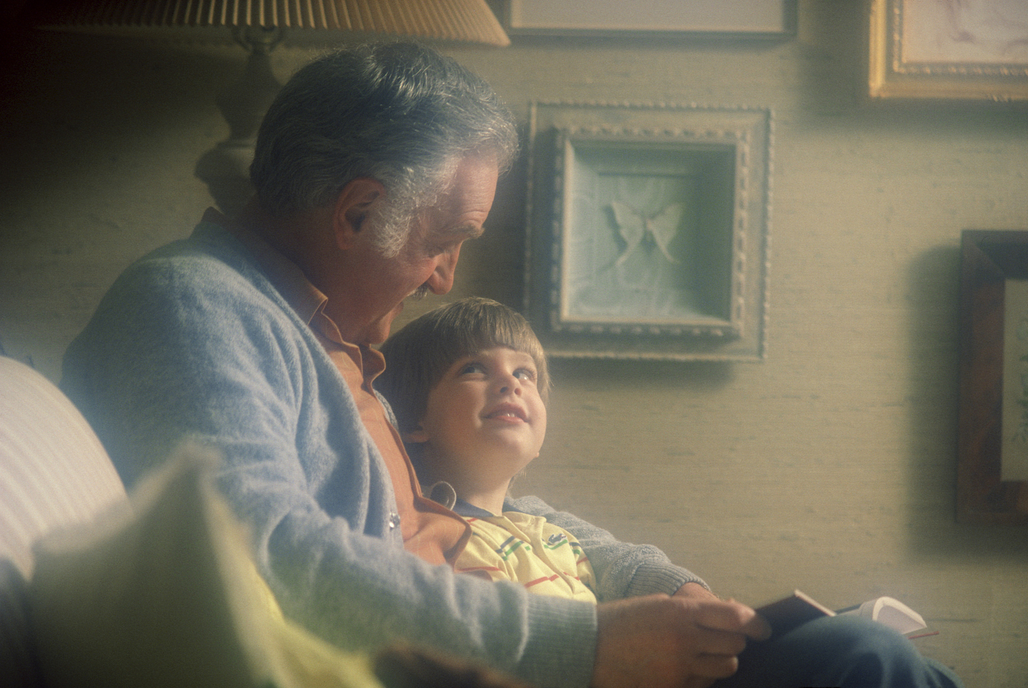 阐述电影《阳光普照》的中心思想