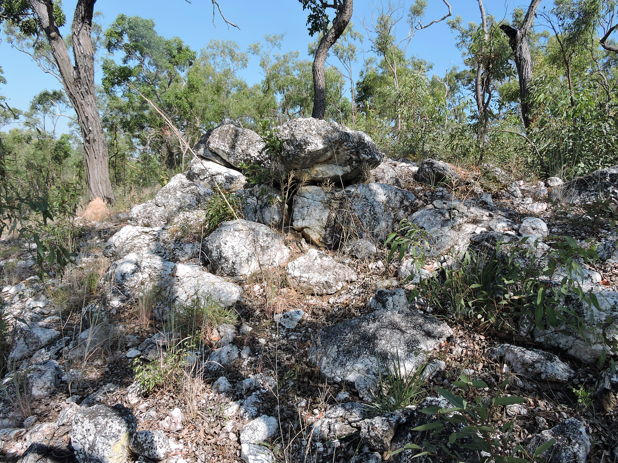 根据对地层的层序、地层形成时代、岩性特征、接触关系、构造运动情况、岩浆活动过程等的分析恢复兰州地区的地质发展史