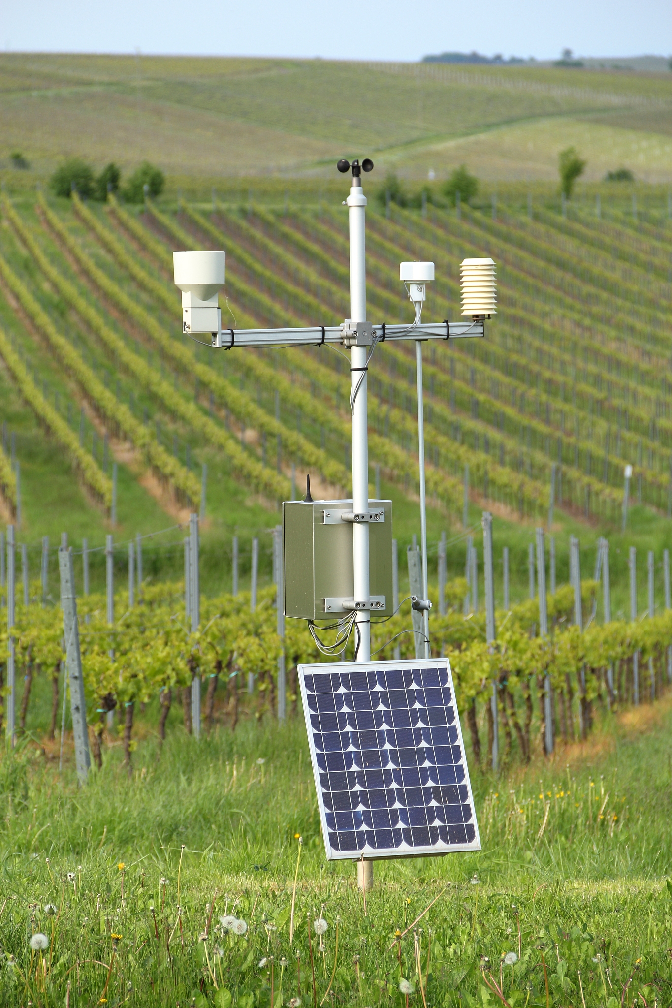 基于物联网的蔬菜大棚环境监测系统设计