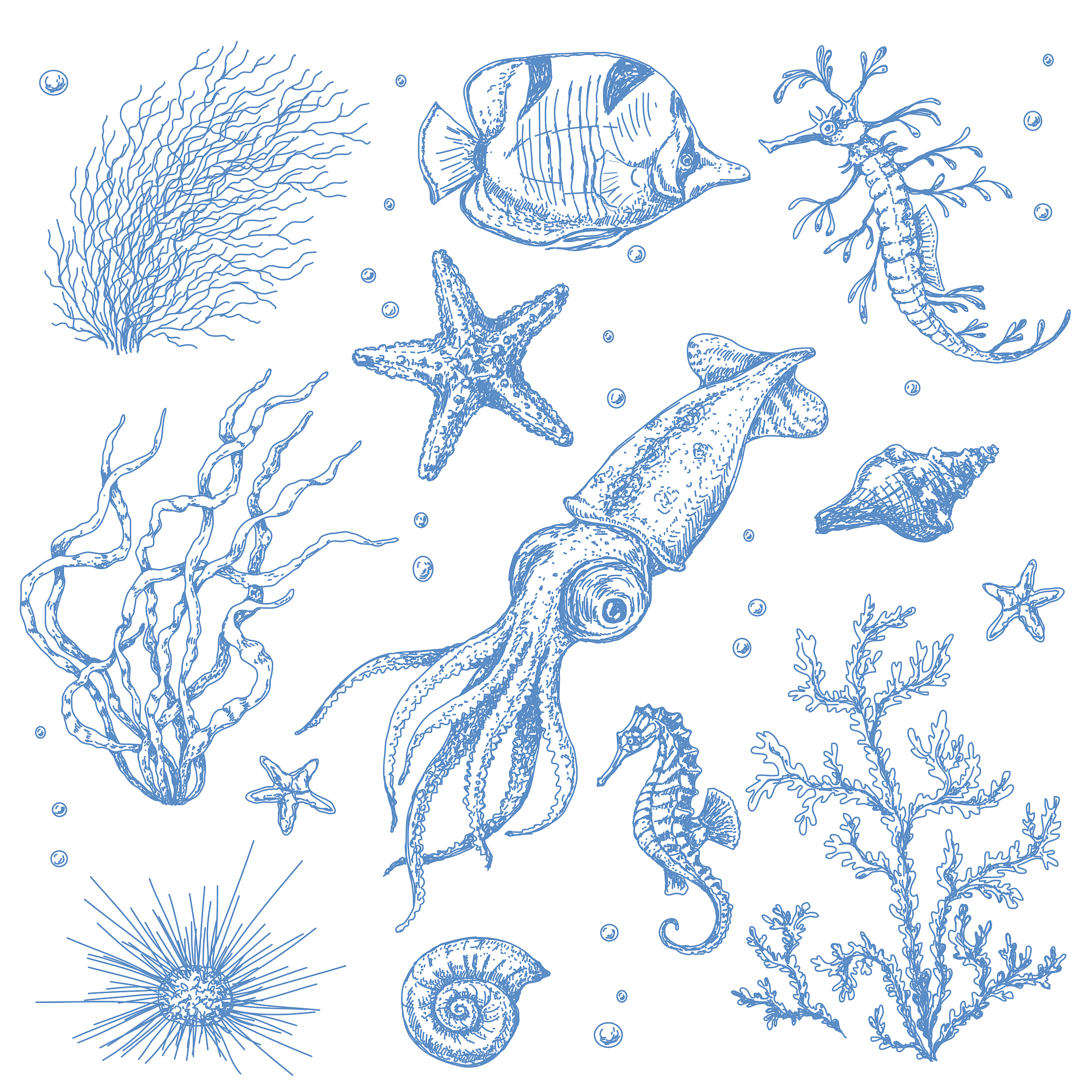 underwater plants and animals set