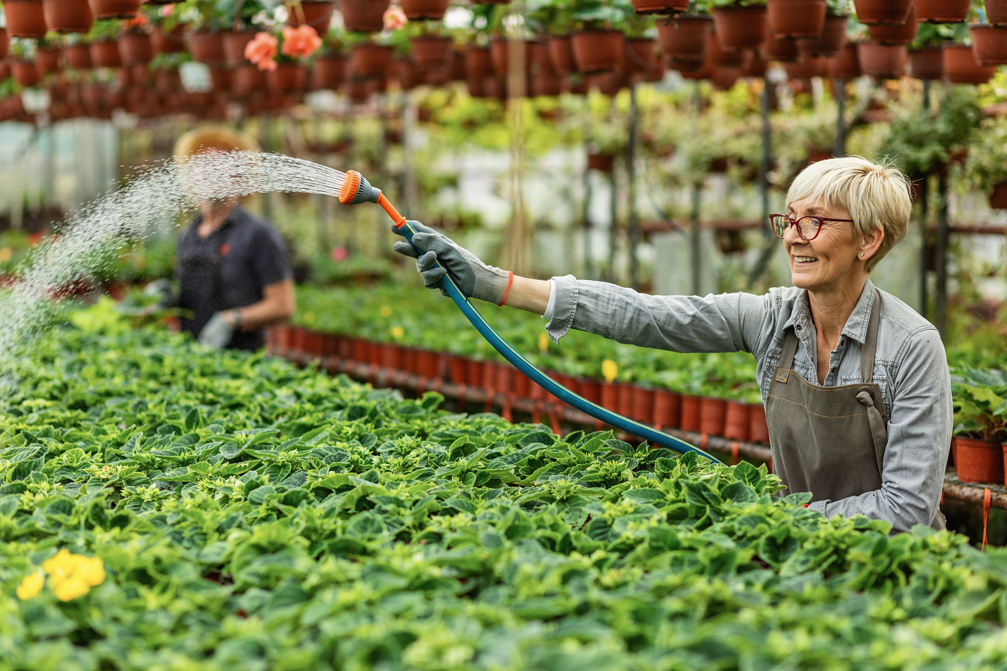 happy female gardener taking care of plants and watering them wi