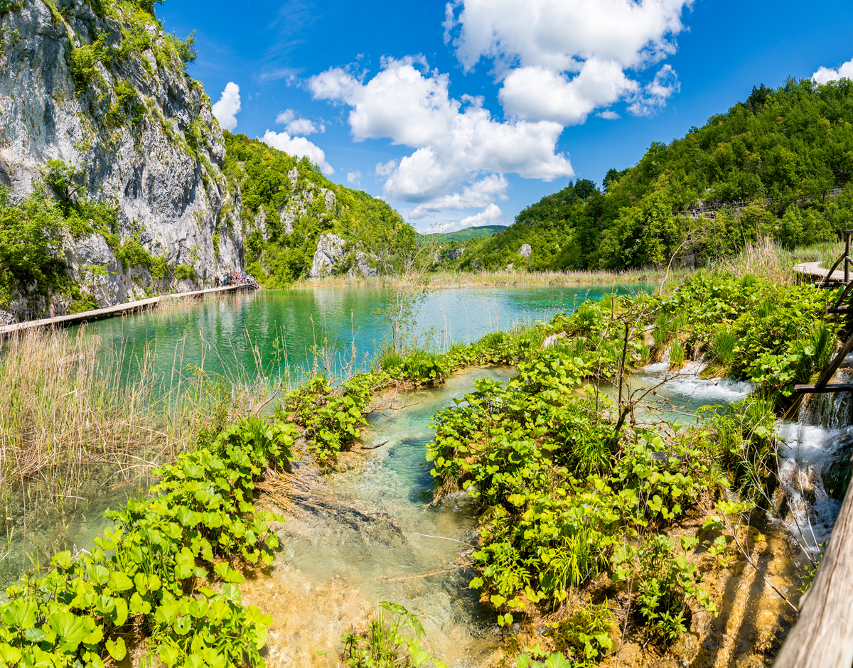 畅游自然风光：探索山脉、河流、森林和海洋的迷人景观