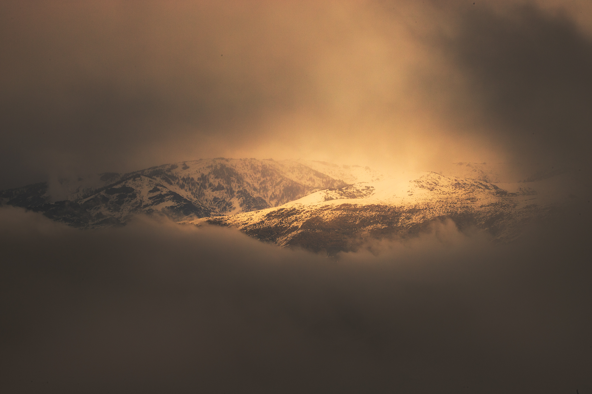 光遇四季指南：春夏秋冬，带你领略奇妙世界