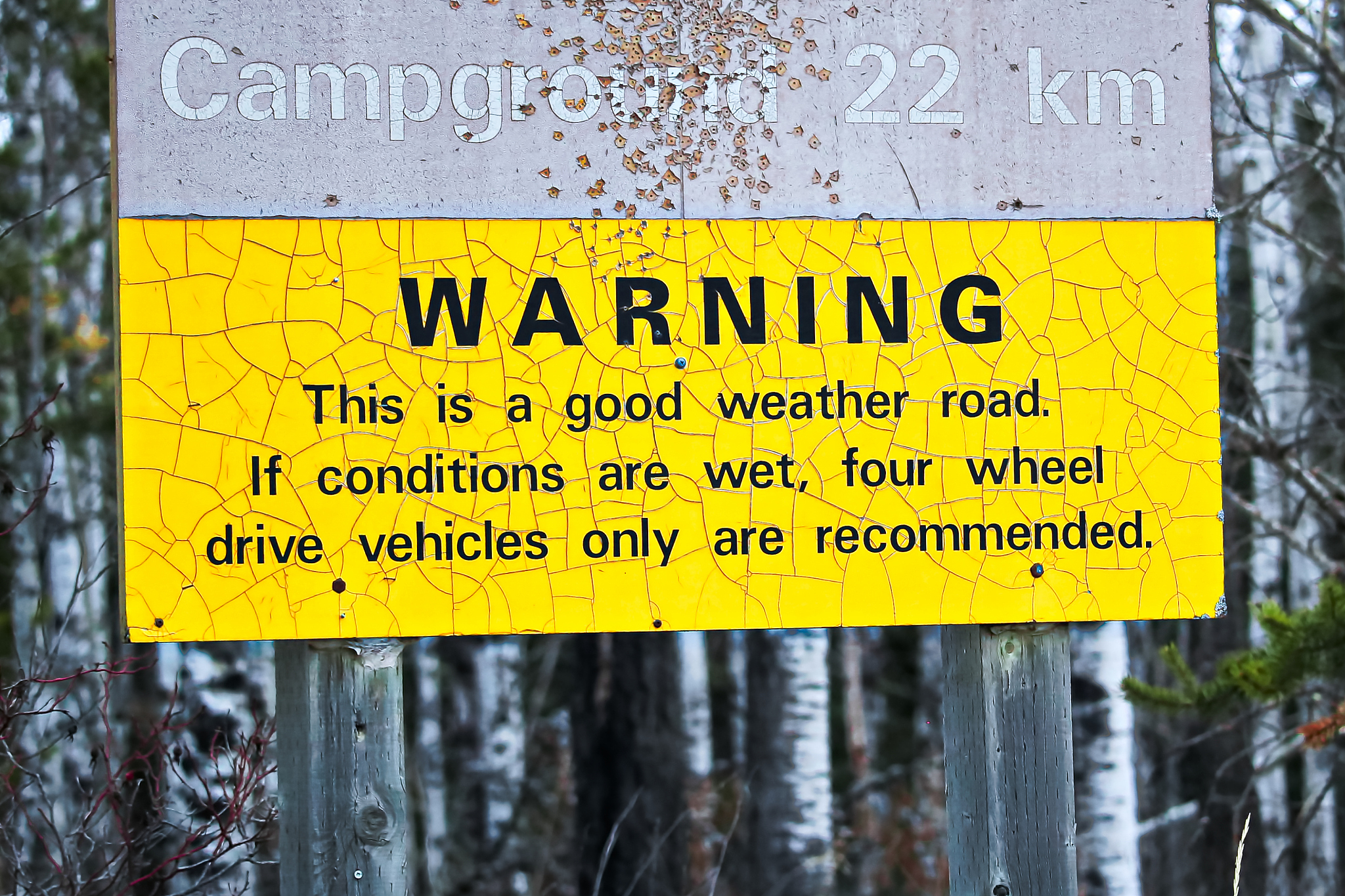 20 Powerful Words to Describe Springing Forward or Bouncing Back