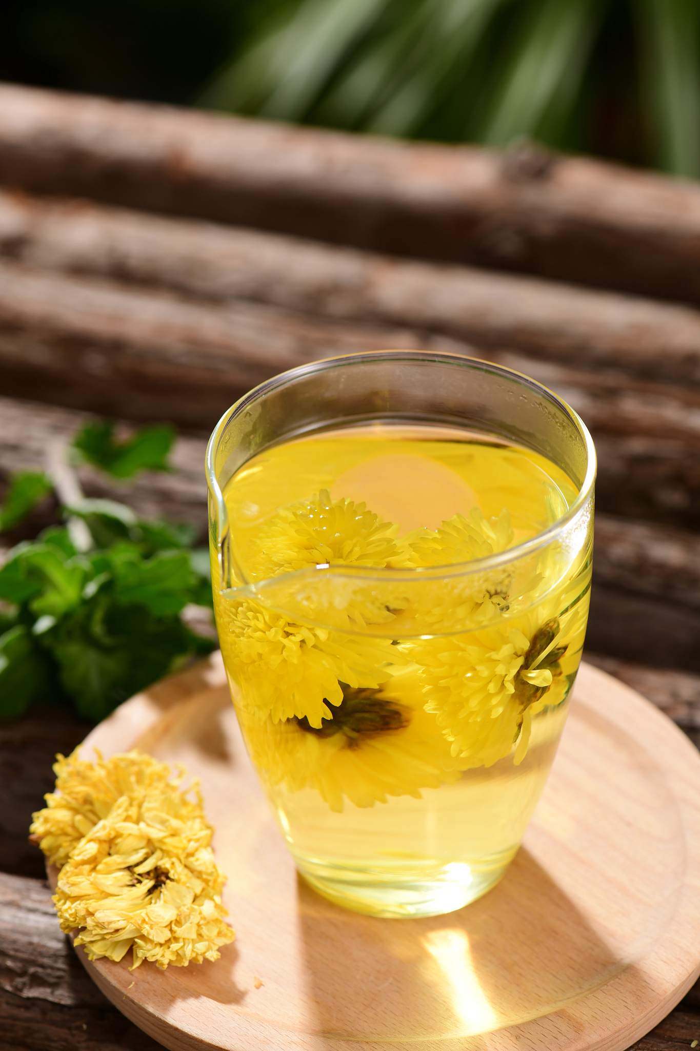 菊花黑枸杞绿茶饮的做法_菊花黑枸杞绿茶饮怎么做