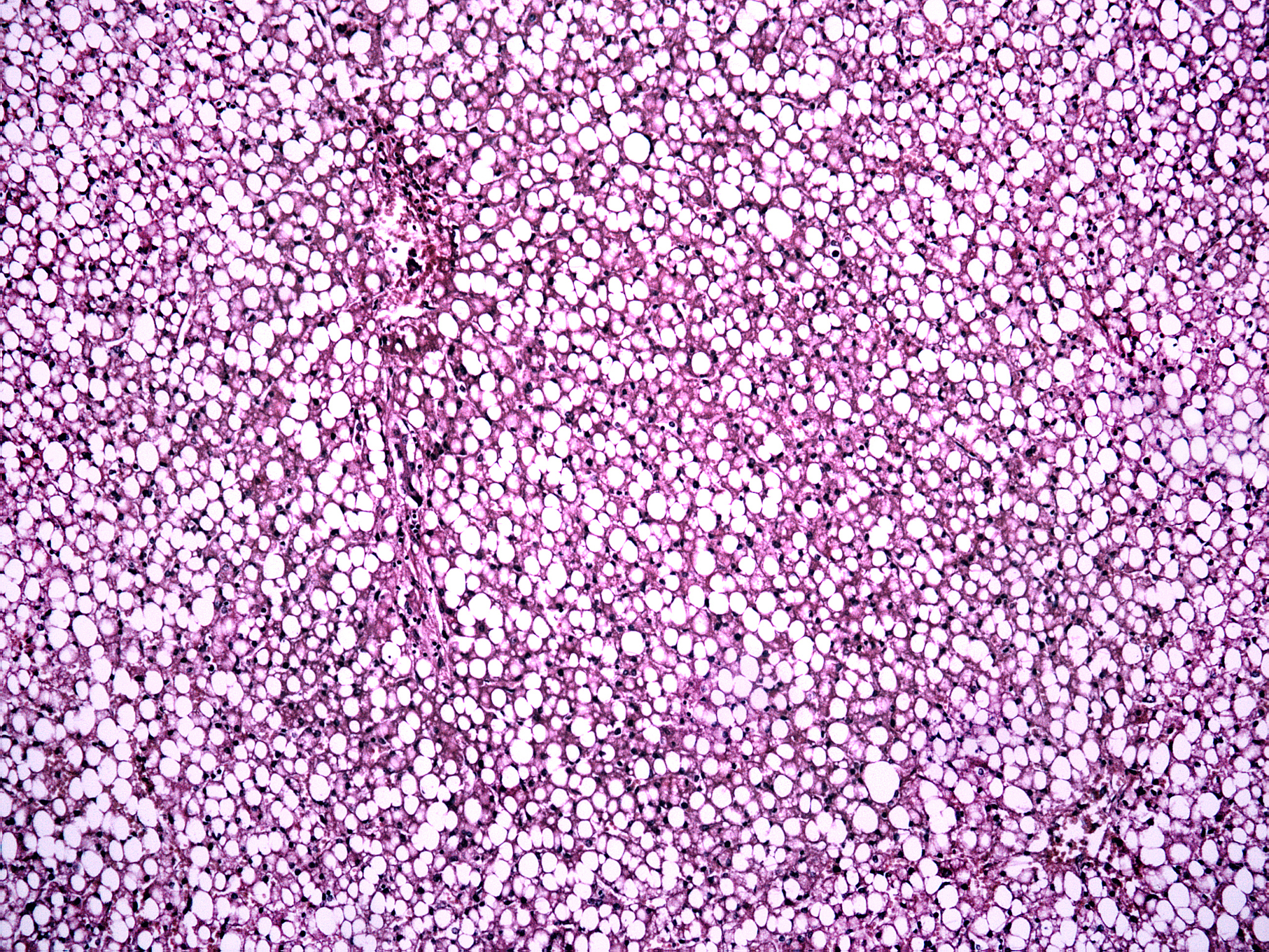 贵阳卫生学校护理专业学习什么课程