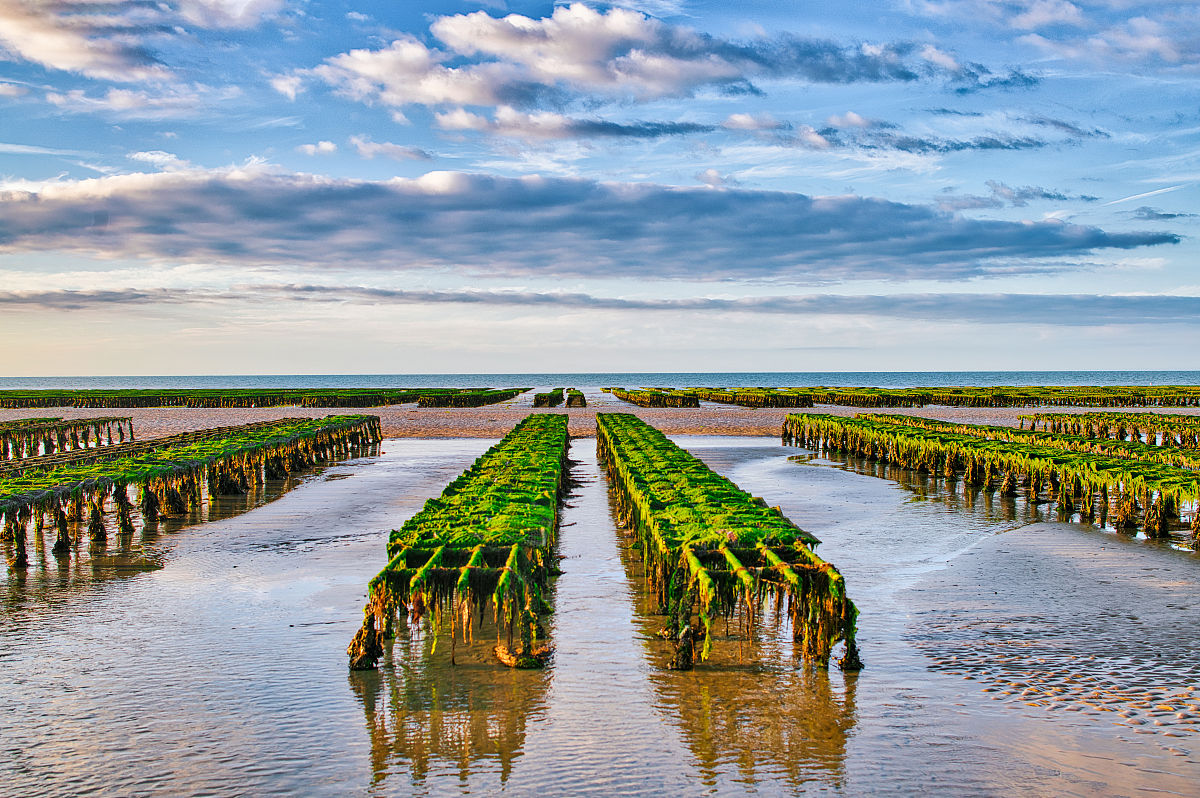 威海市水产学校招生办电话_好不好