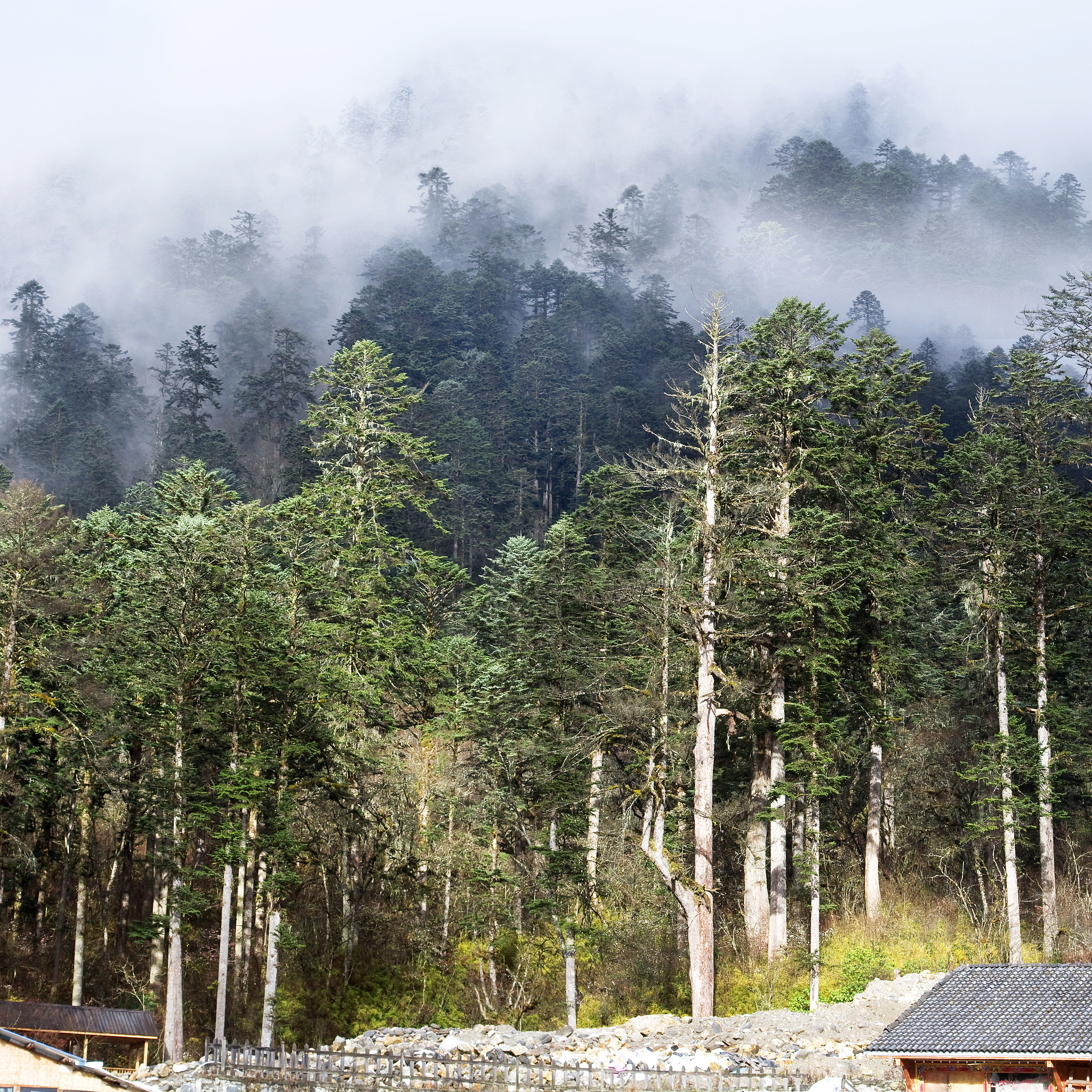 四川省旅游学校会计事务专业课程设置详解