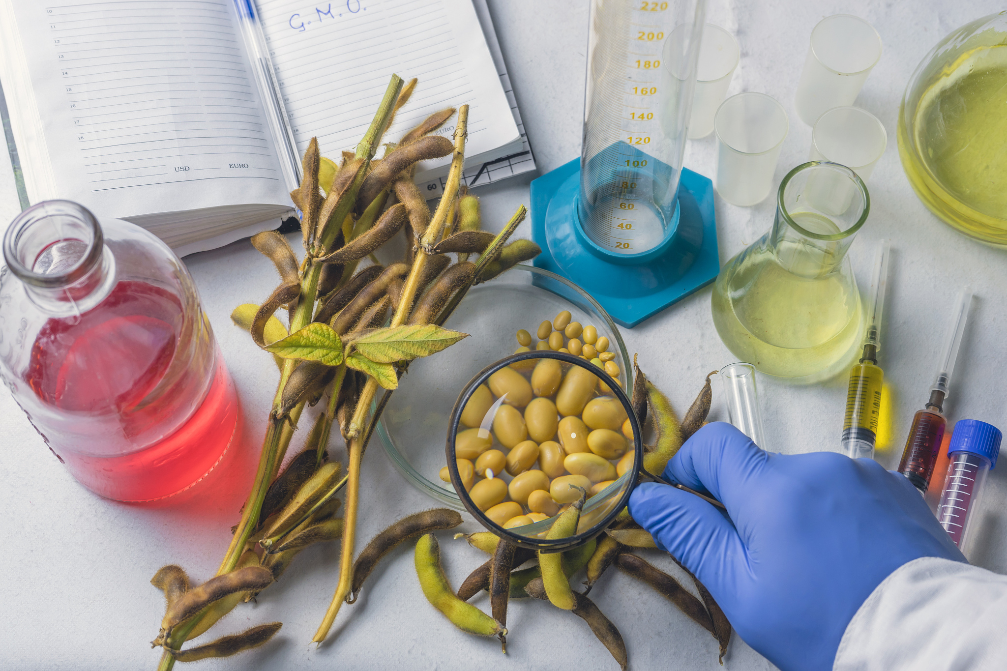 请翻译根据船员描述及相关照片我们注意到货物主要问题是霉变大豆的霉变是由于微生物的快速繁殖导致。而微生物是否能生长繁殖则决定于ERH。