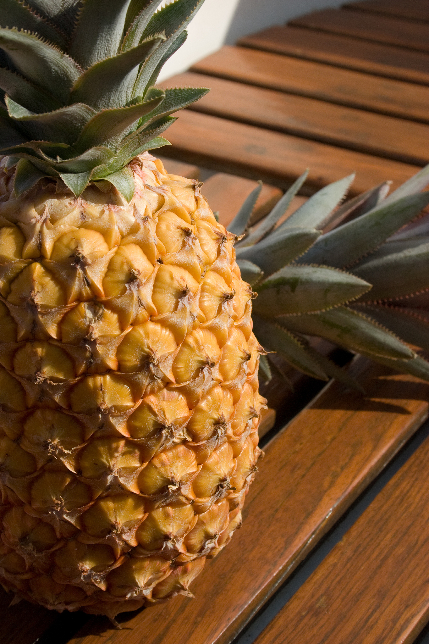 桂林师范高等专科学校营养与食品卫生专业怎么样