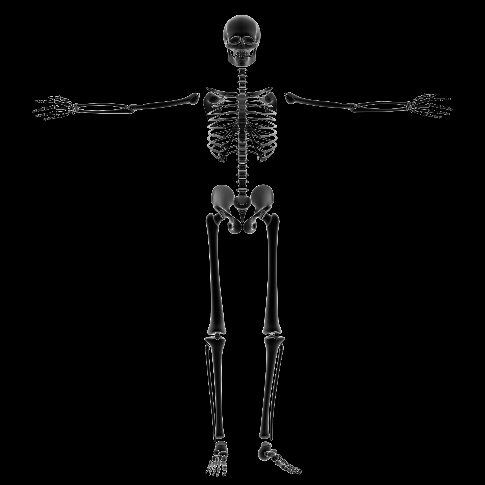 前臂扭曲：人体骨骼运动解释