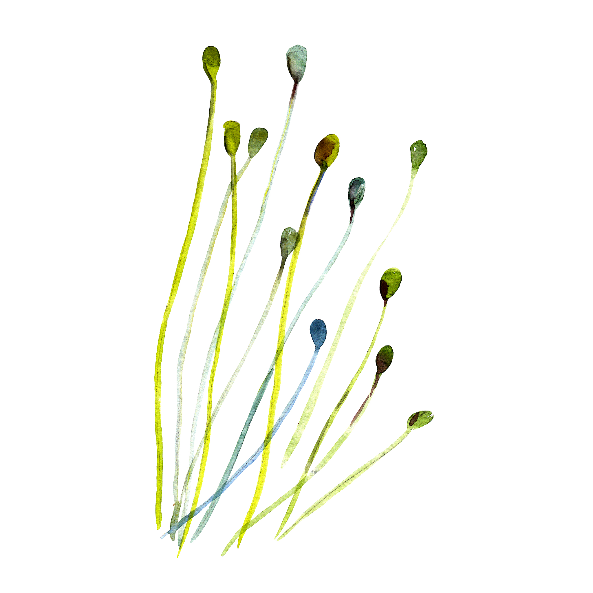 贵州盛华职业学院旅游工艺品设计与制作专业怎么样？学什么？就业前景如何？