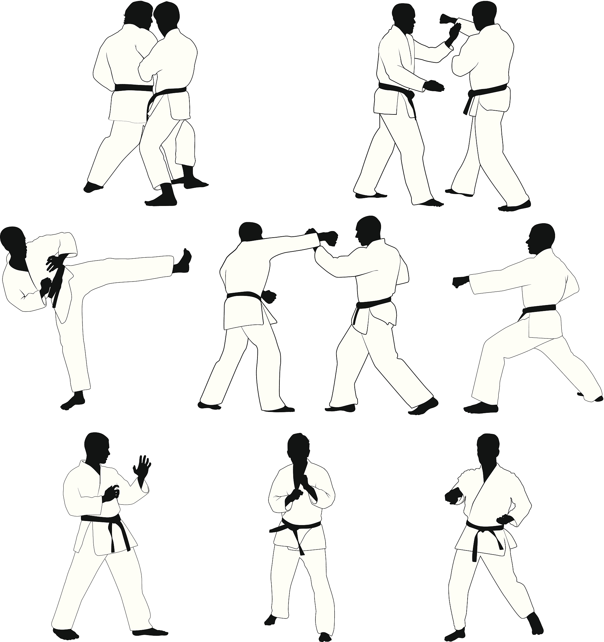 武术基本功详解：从姿势到实战应用
