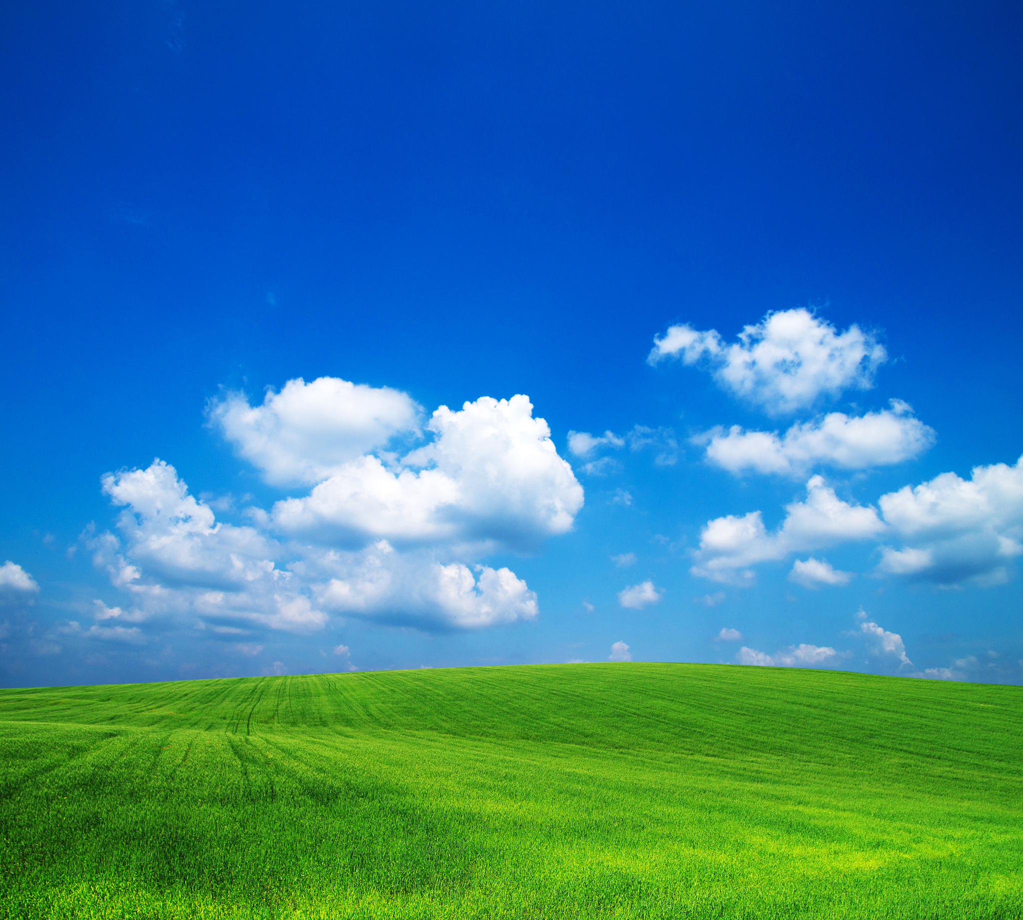 带蓝和胜的绝美诗句