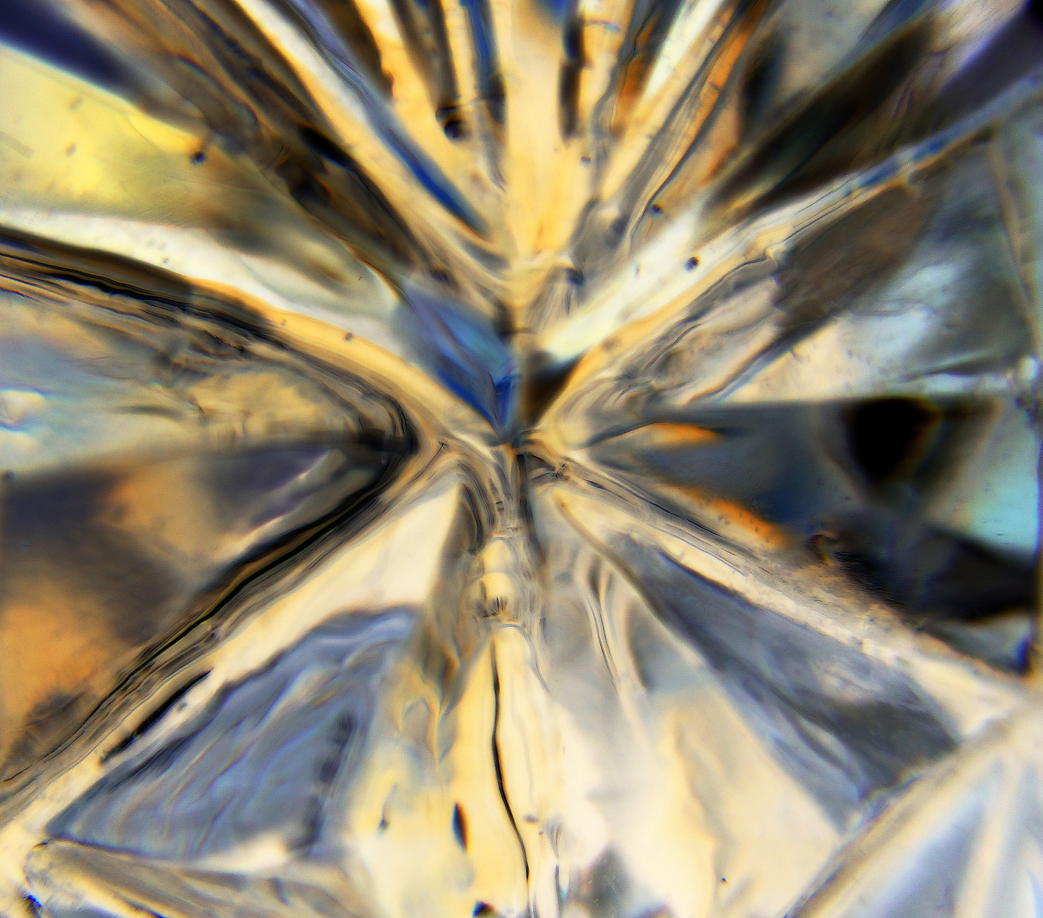 EXCEL如何锁定行