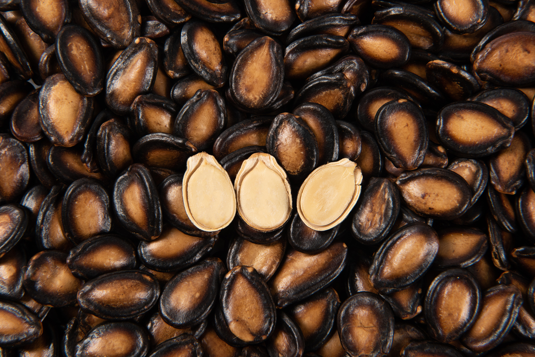 西瓜瓜子发芽了还能吃吗？专家告诉你！