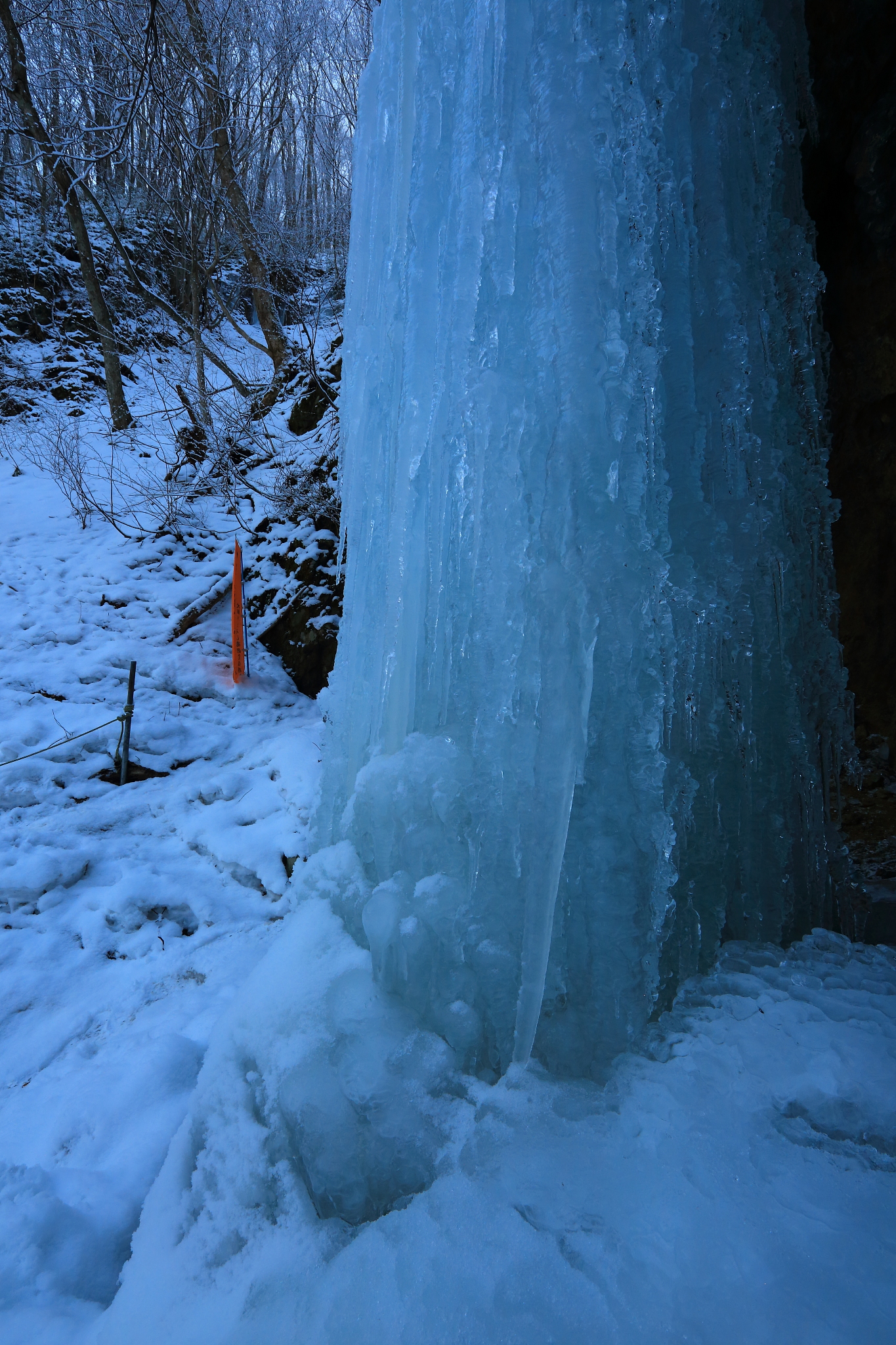 帮我从文献中找类似的话：由于水分是冬小麦生长的关键限制因素因此研究灌溉对冬小麦产量、水分利用效率及灌溉水利用效率的影响对制定冬小麦适宜灌溉制度具有重要作用。