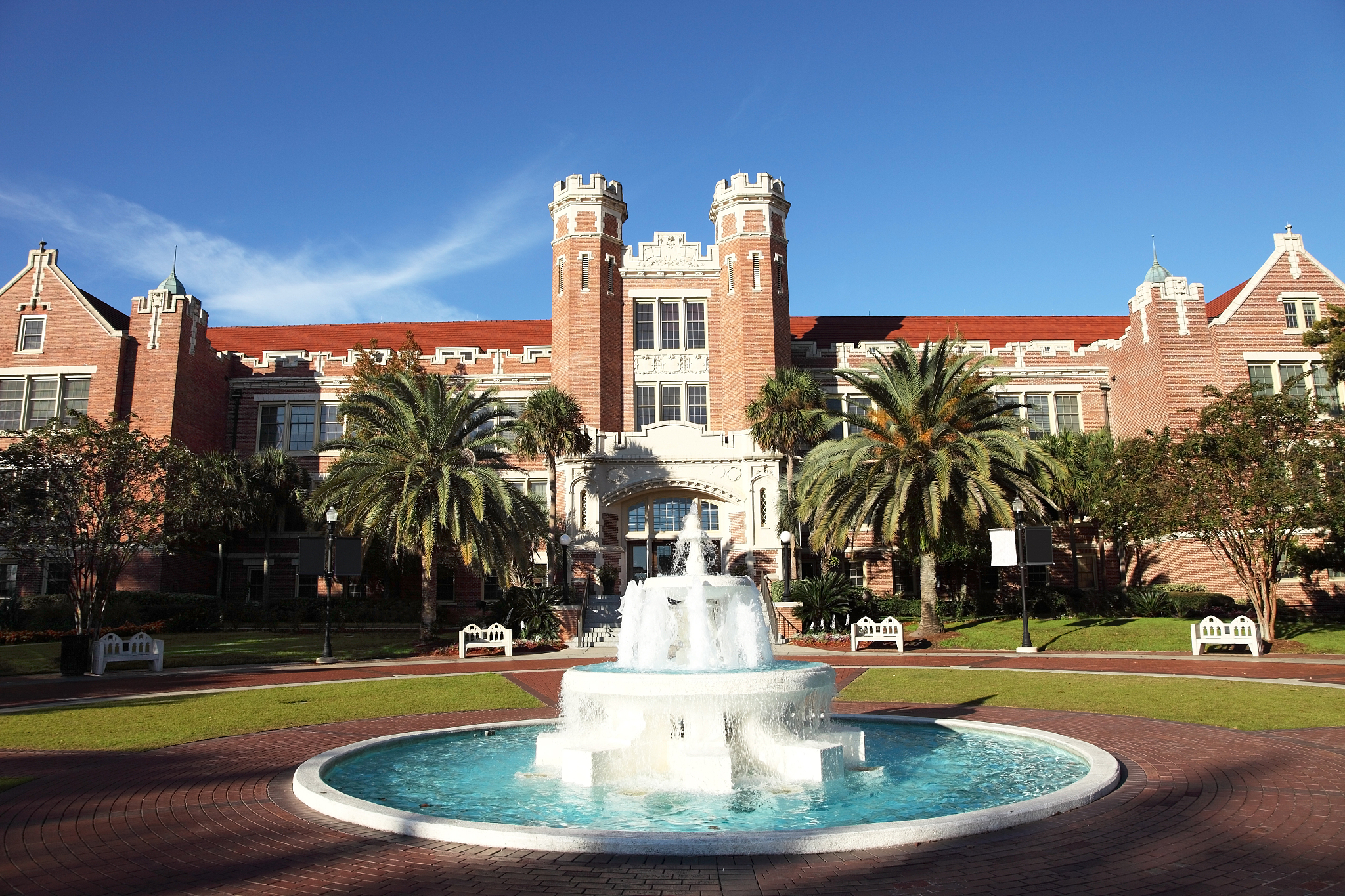 the florida state university