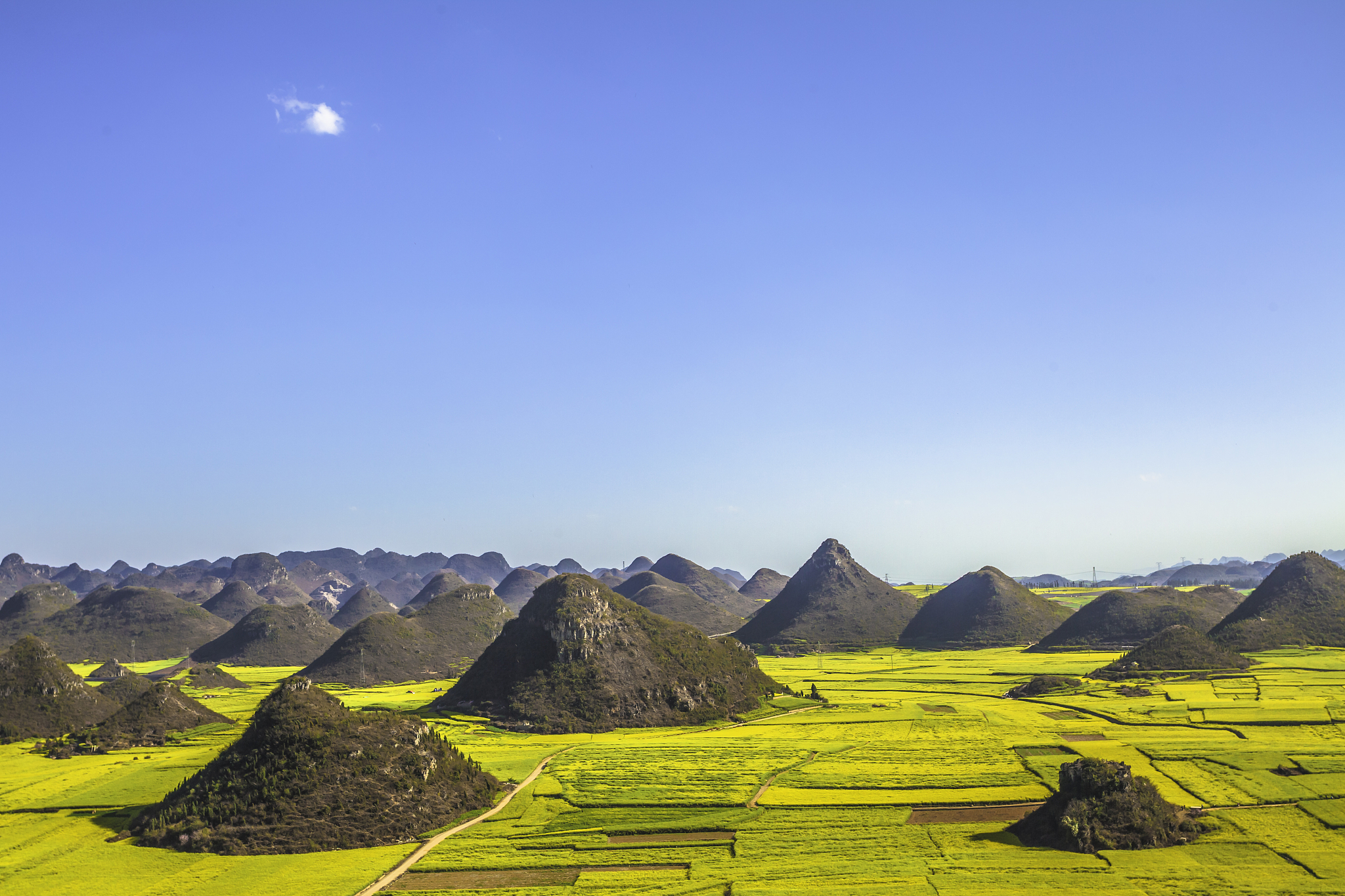 云南农业职业技术学院2019年五年一贯制大专入学条件