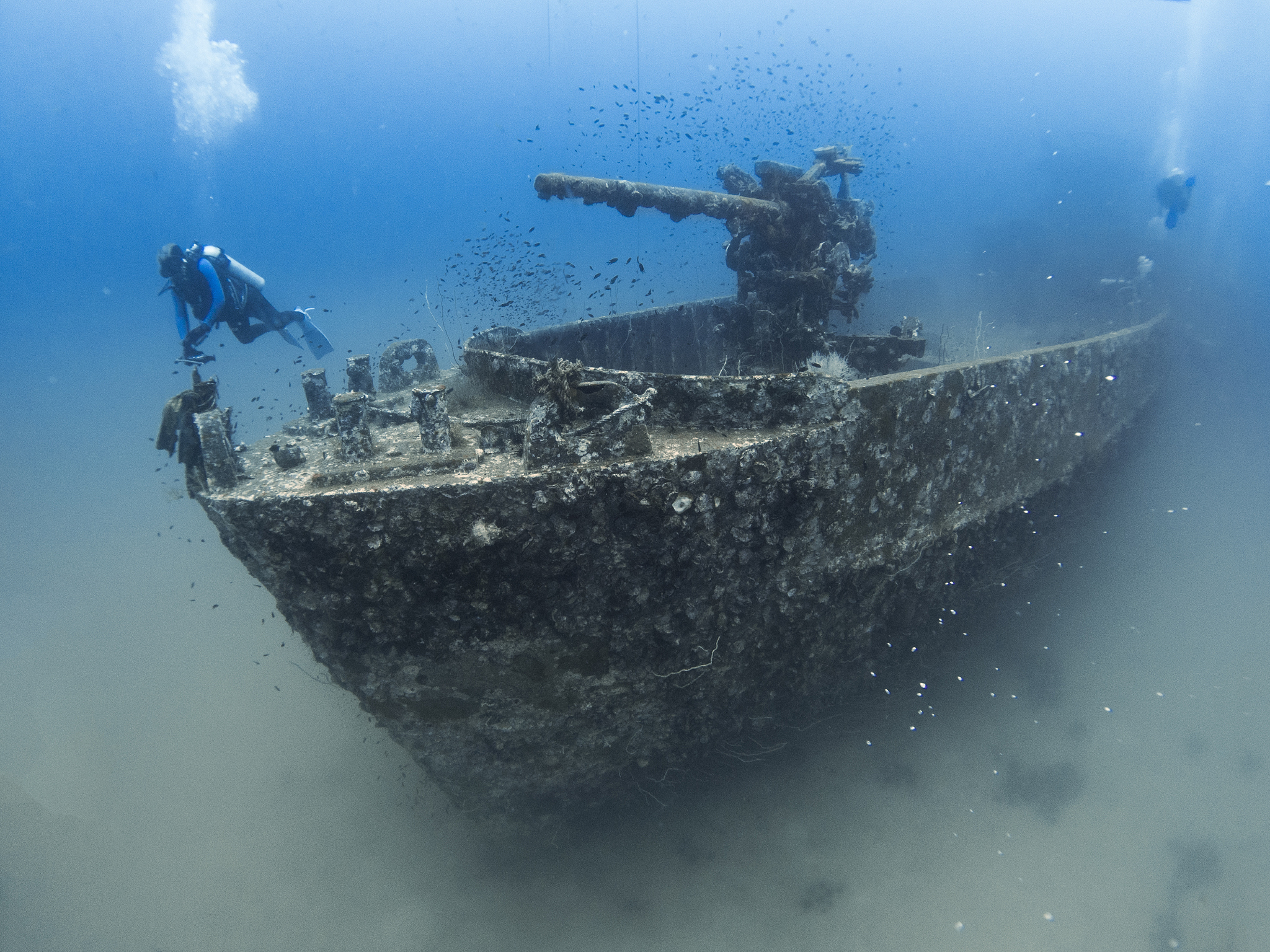 shipwreck and a diver
