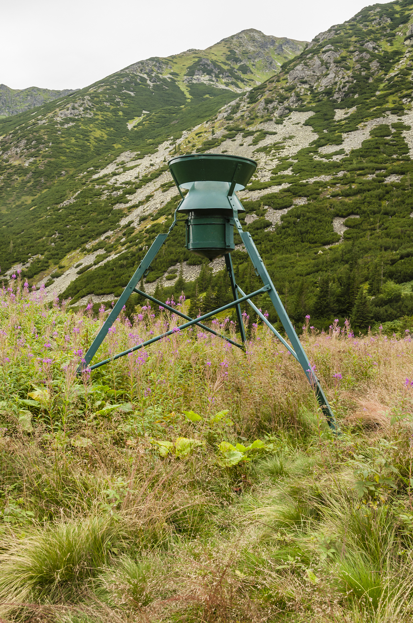 rain gauge