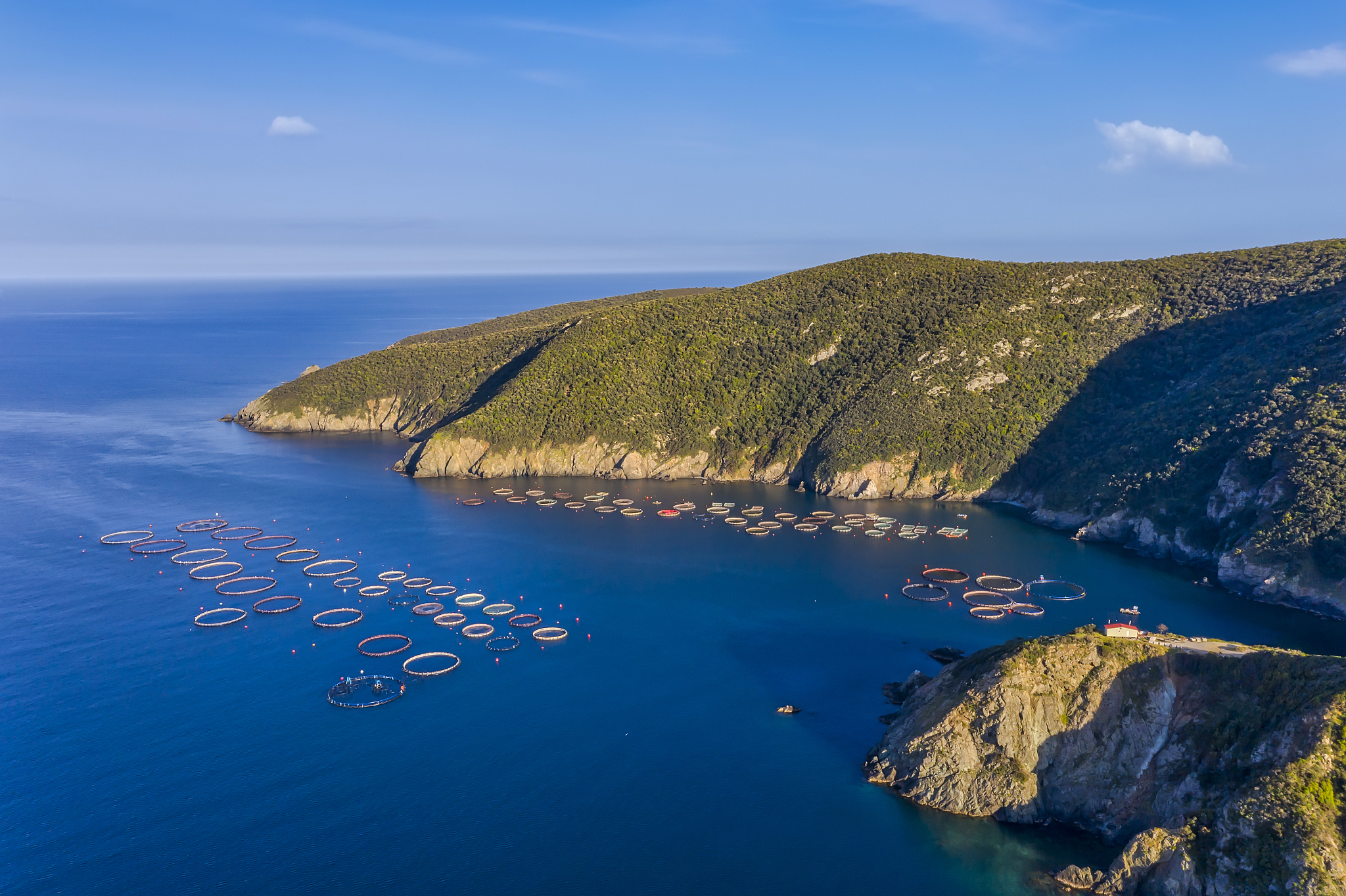 fish farm with floating cages in chalkidiki, greece