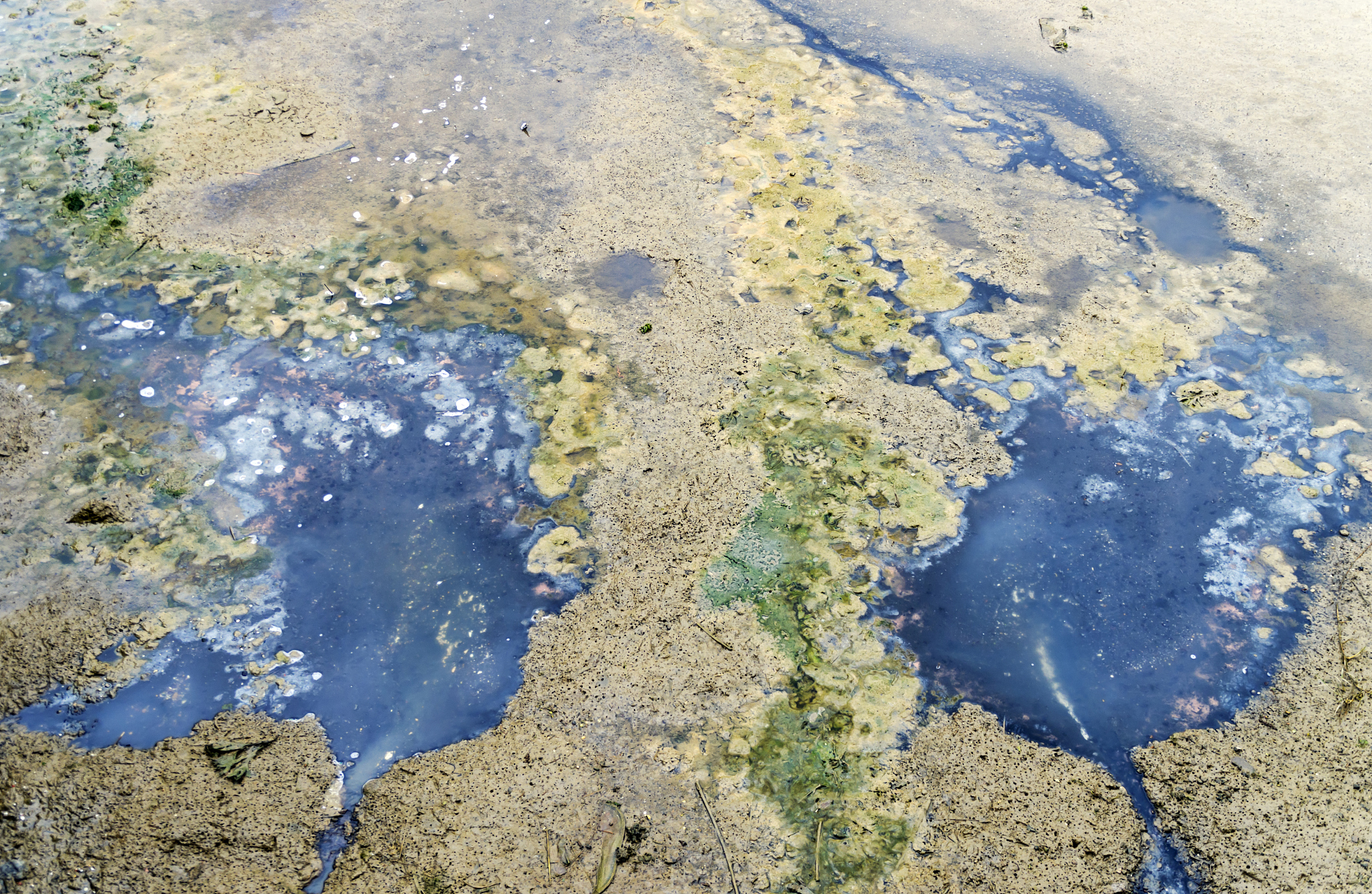 please recommend me some Chinese bl fictions