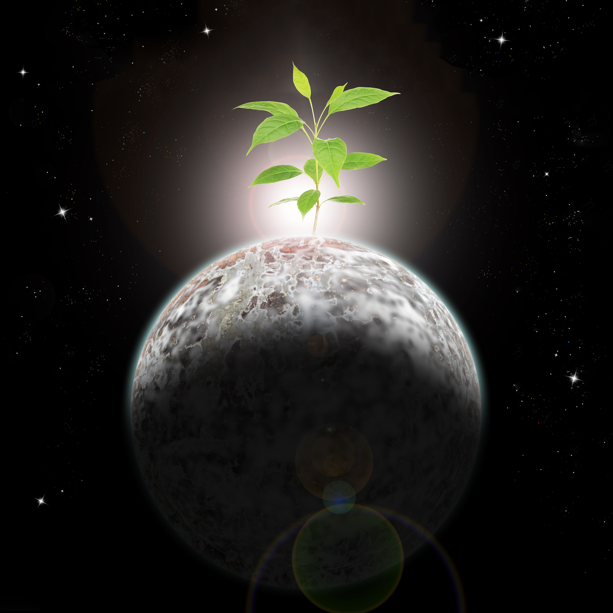 世界树的生长：宇宙生命起源的奥秘