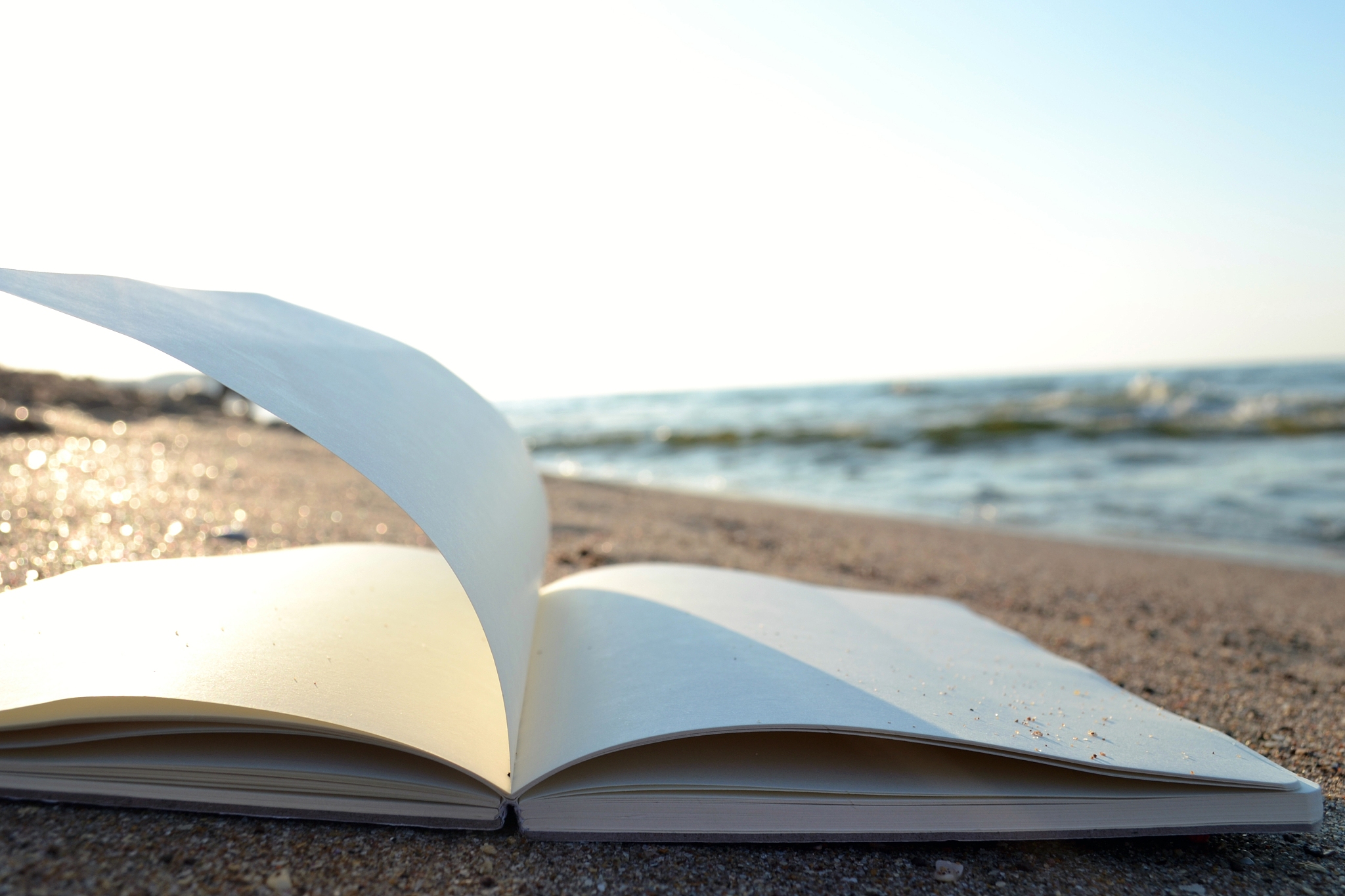 翻译 The world is a book and those who do not travel read only a page As the proverb says It is better to travel ten thousand miles than to read ten thousand books During traveling one can meet various