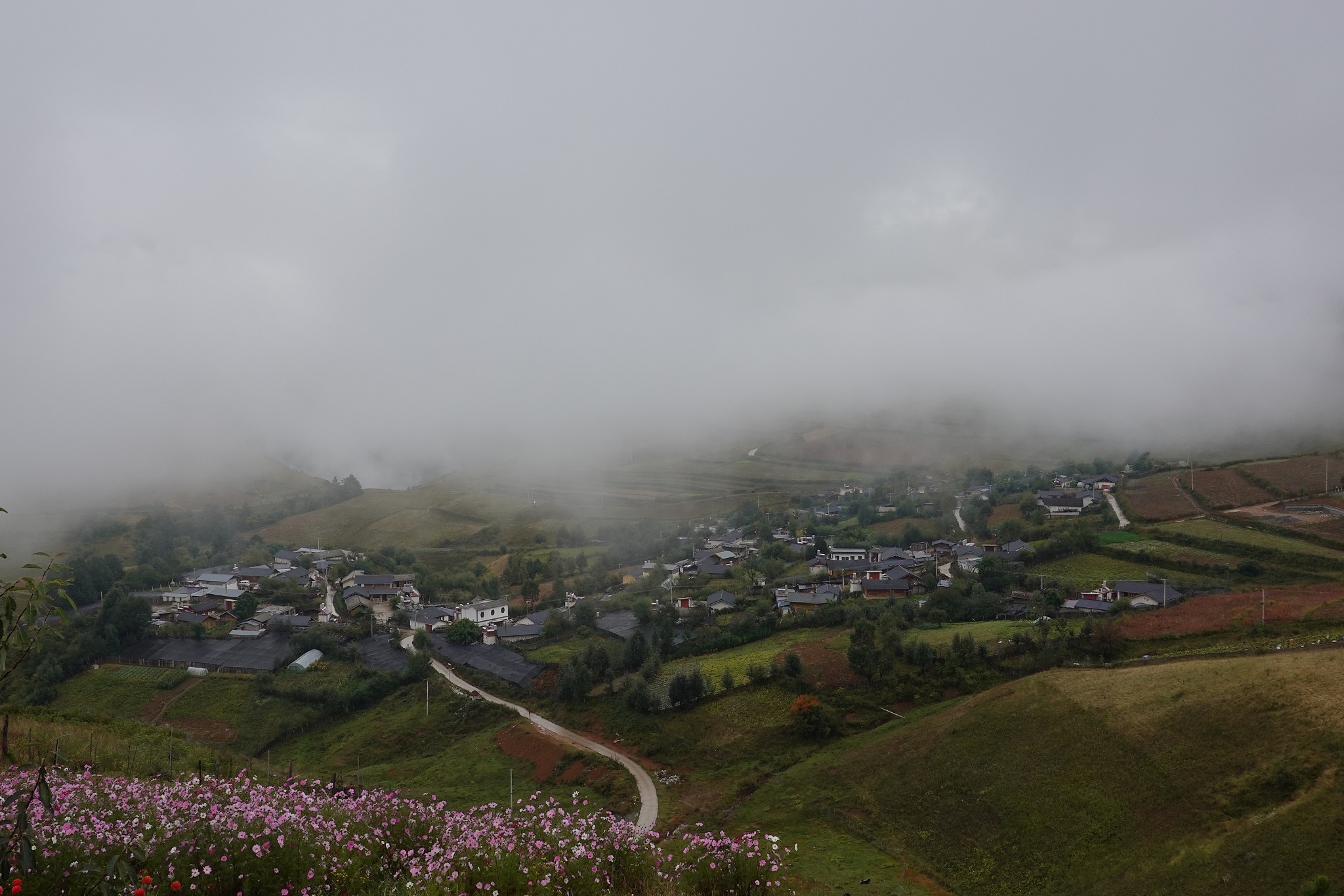 回忆乡村 - 平和的田园之歌 (原创中文乡村歌曲)