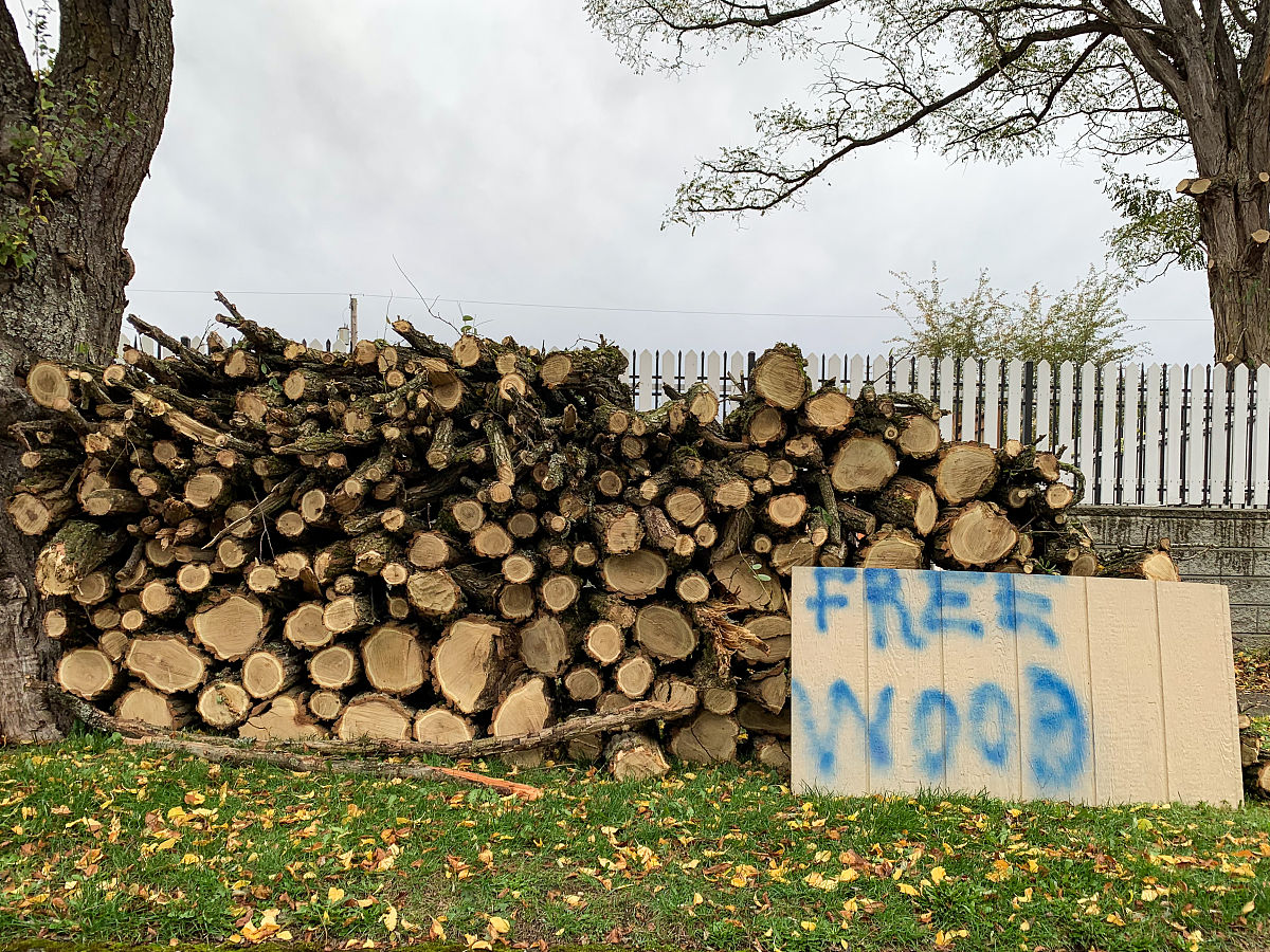 云南林业技工学校木材加工专业怎么样