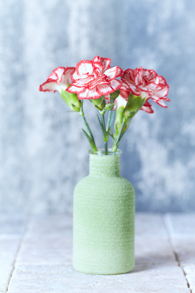 花瓶里放点盐可以让花活的更久一点吗？