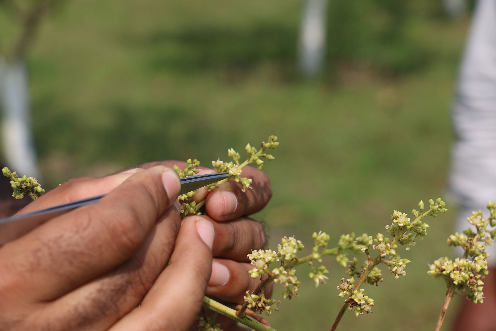 2022年大事记：12句话概括全球趋势