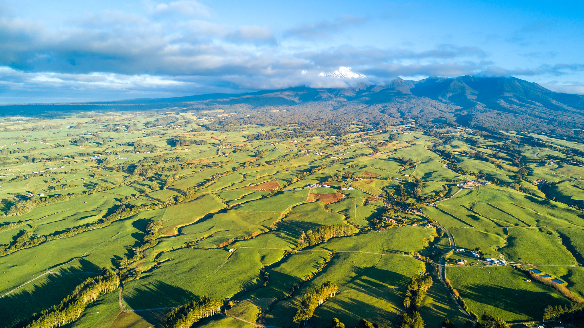 aerial view on a farmland with stock paddocks at the foot of mou